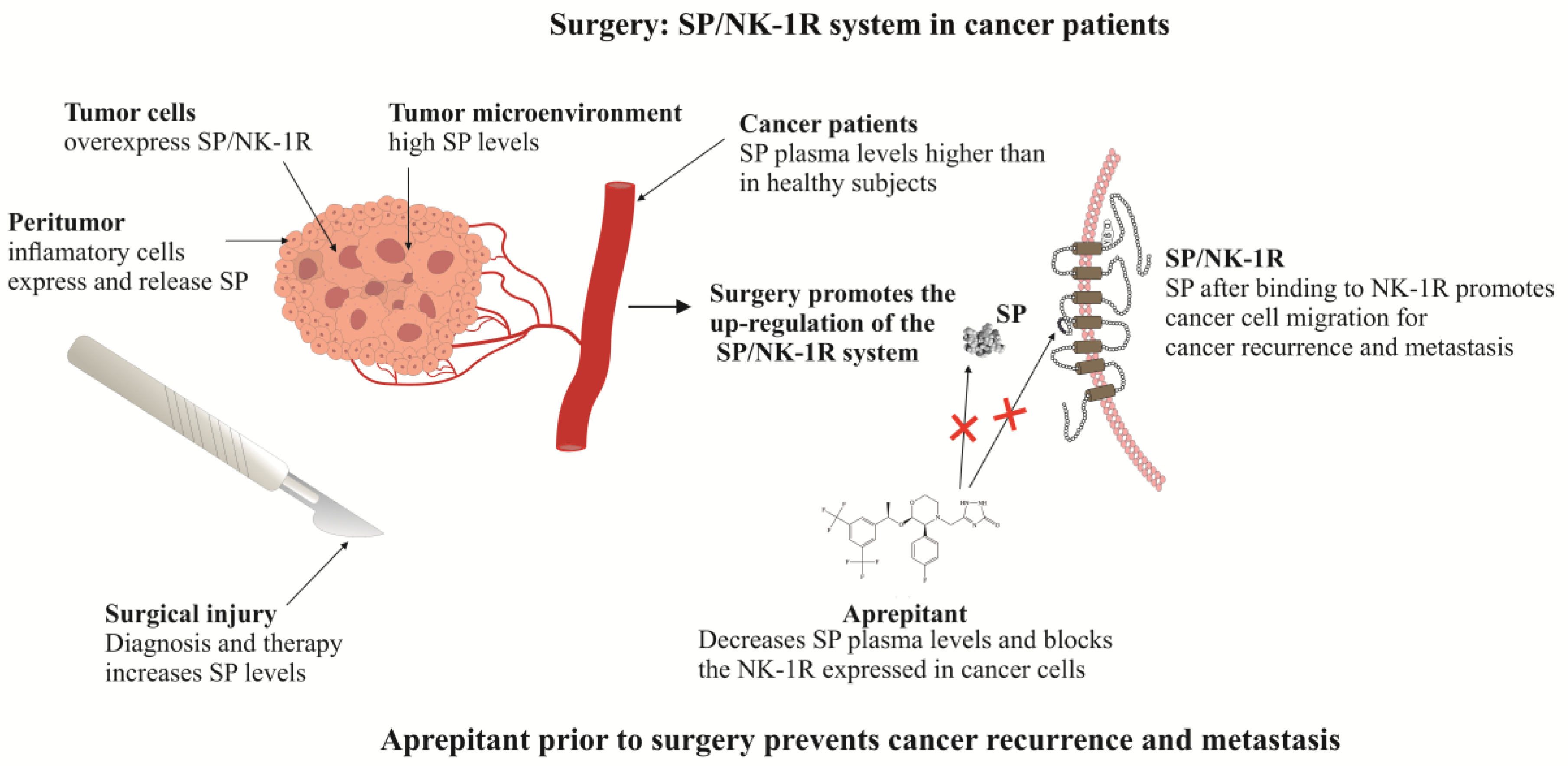 Cancers 12 02682 g001 Cancers 12 02682 g001