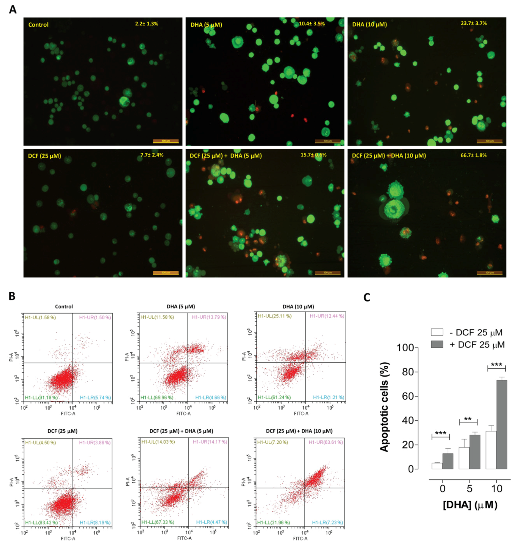Cancers 12 02683 g005 Cancers 12 02683 g005