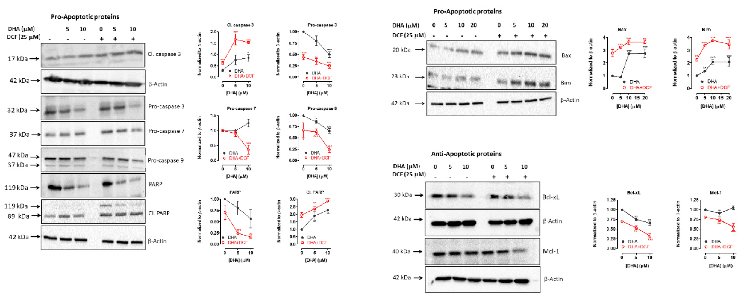 Cancers 12 02683 g007 Cancers 12 02683 g007