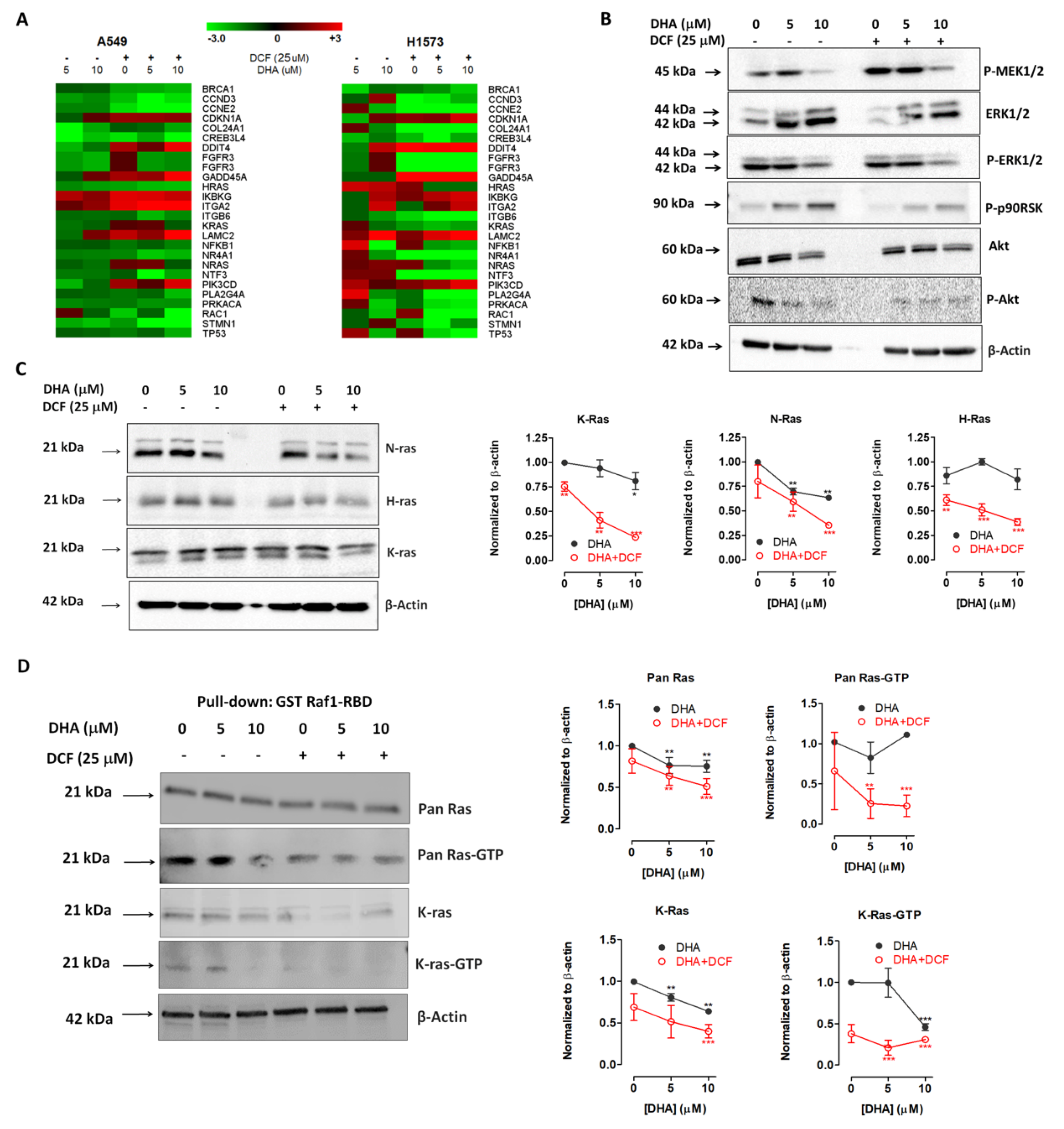 Cancers 12 02683 g008 Cancers 12 02683 g008