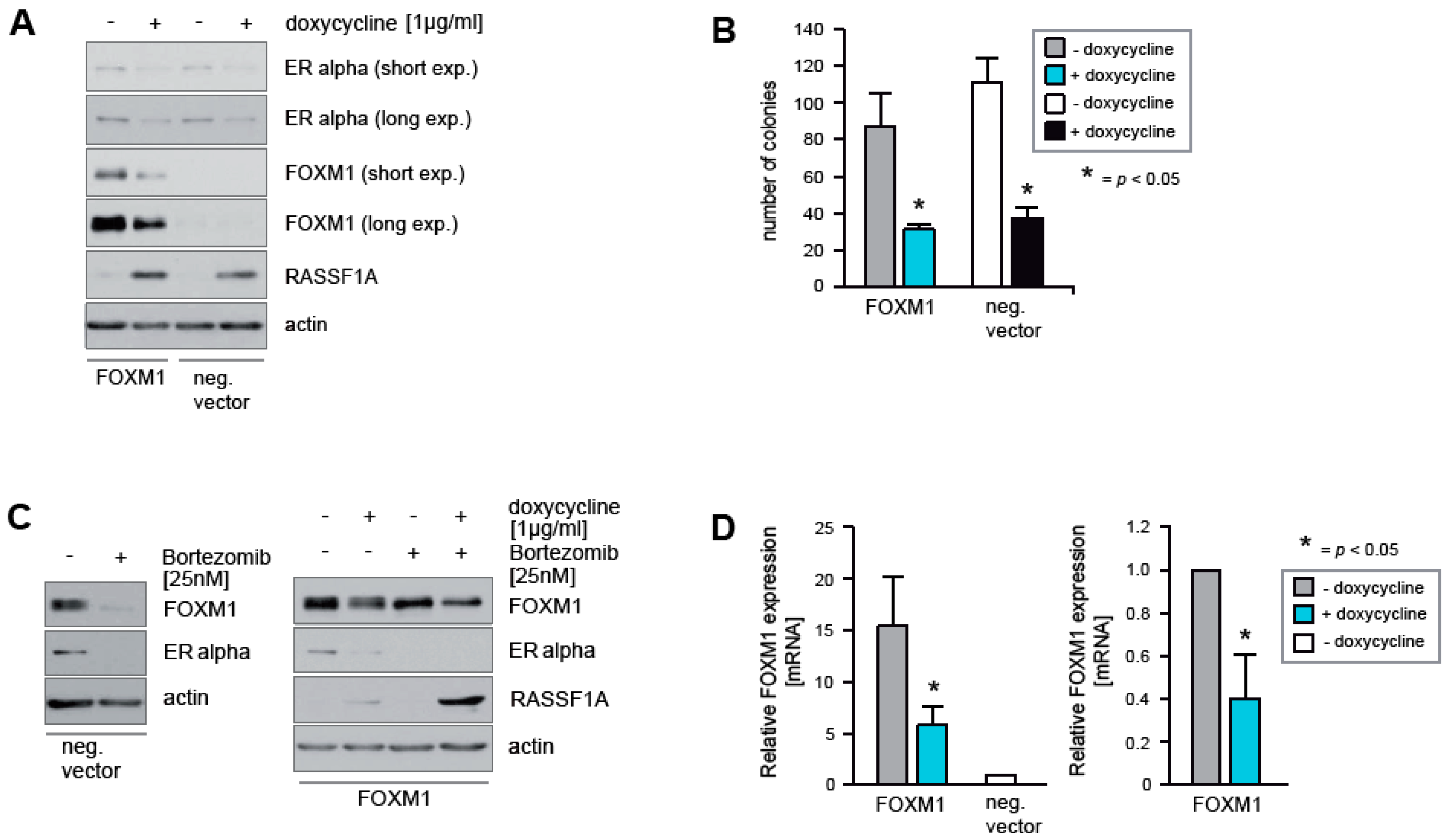 Cancers 12 02689 g003