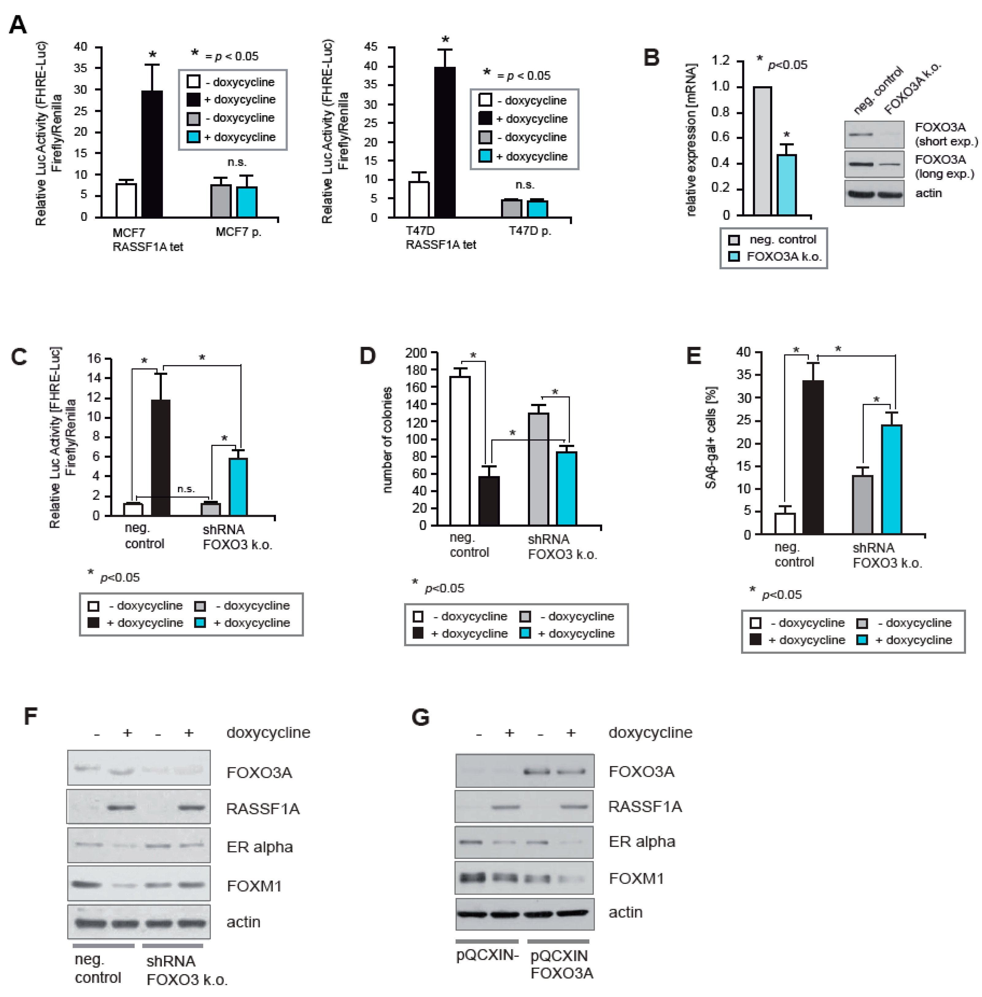Cancers 12 02689 g004