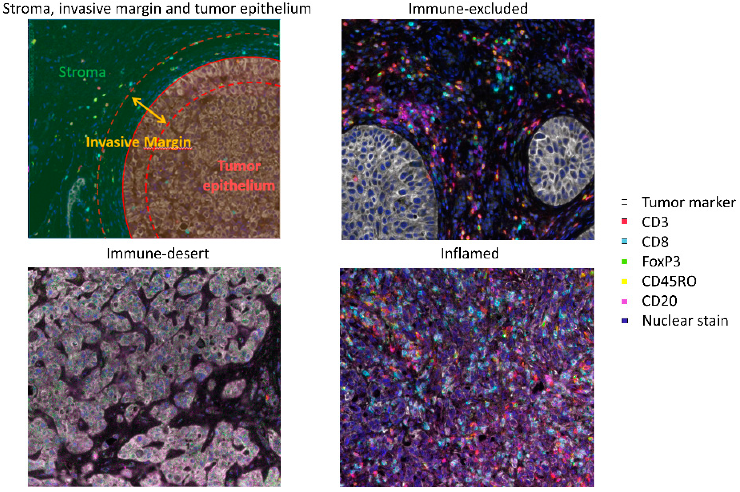 Cancers 12 02692 g001 Cancers 12 02692 g001