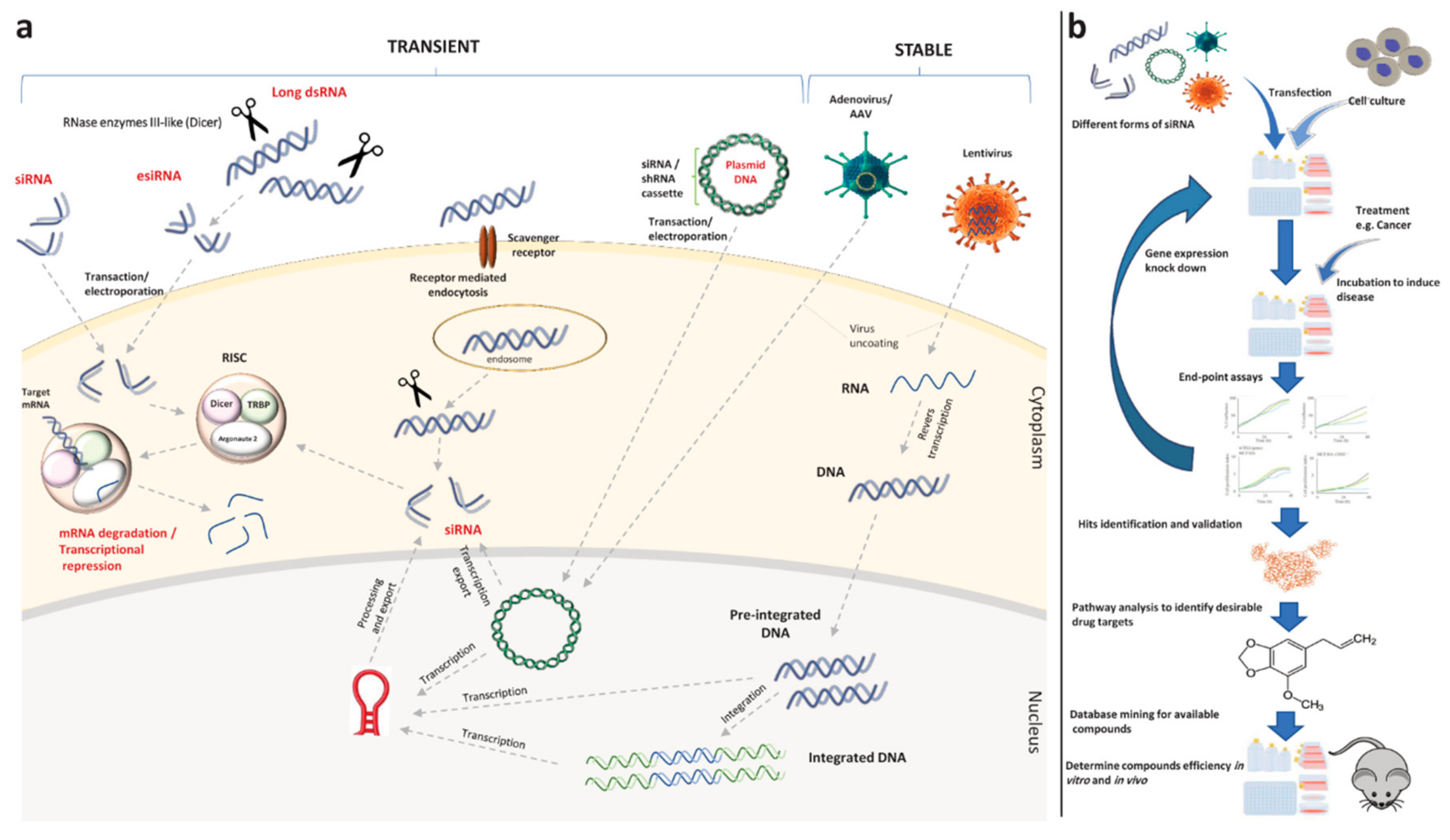 Cancers 12 02694 g003