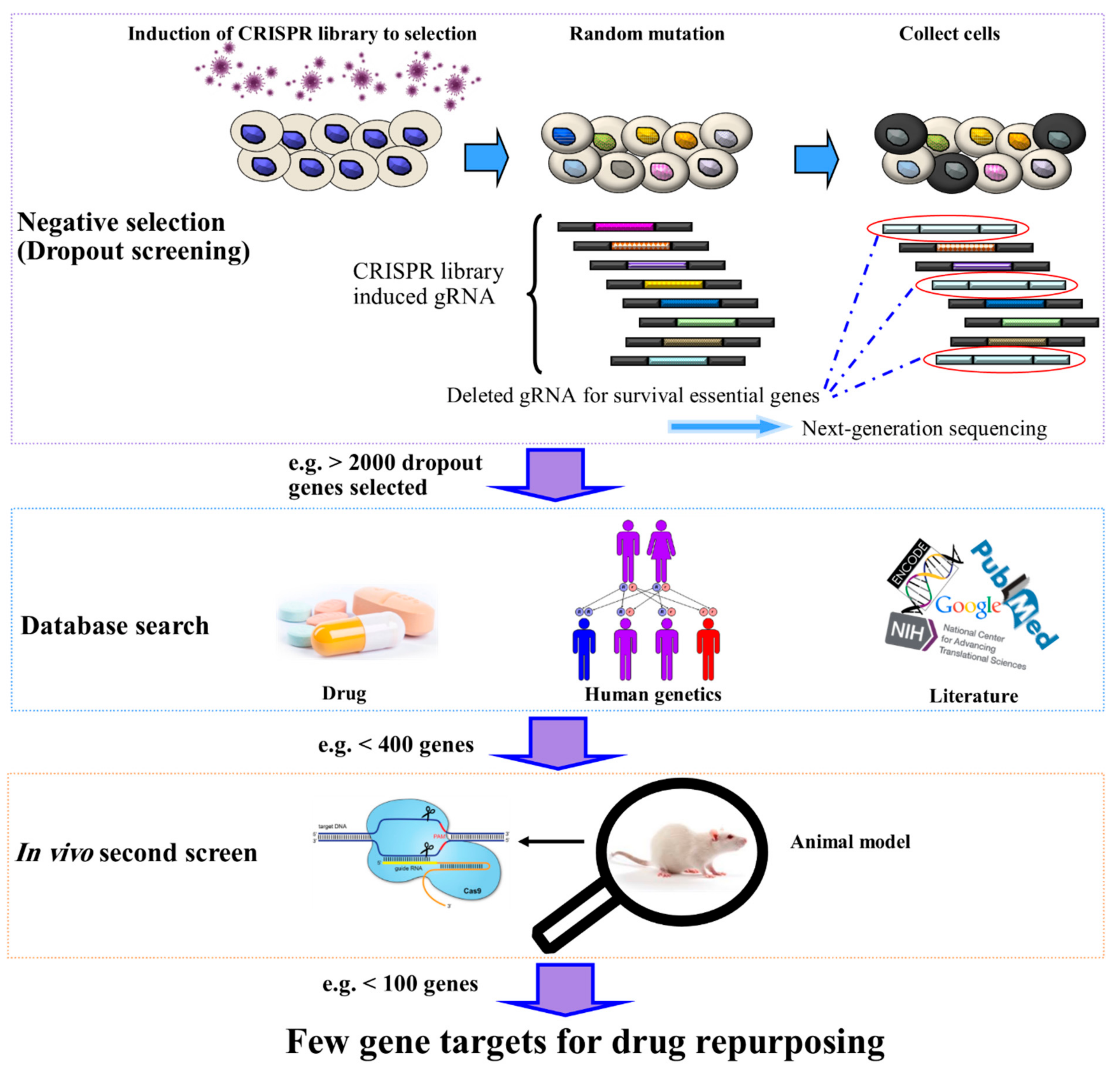 Cancers 12 02694 g004