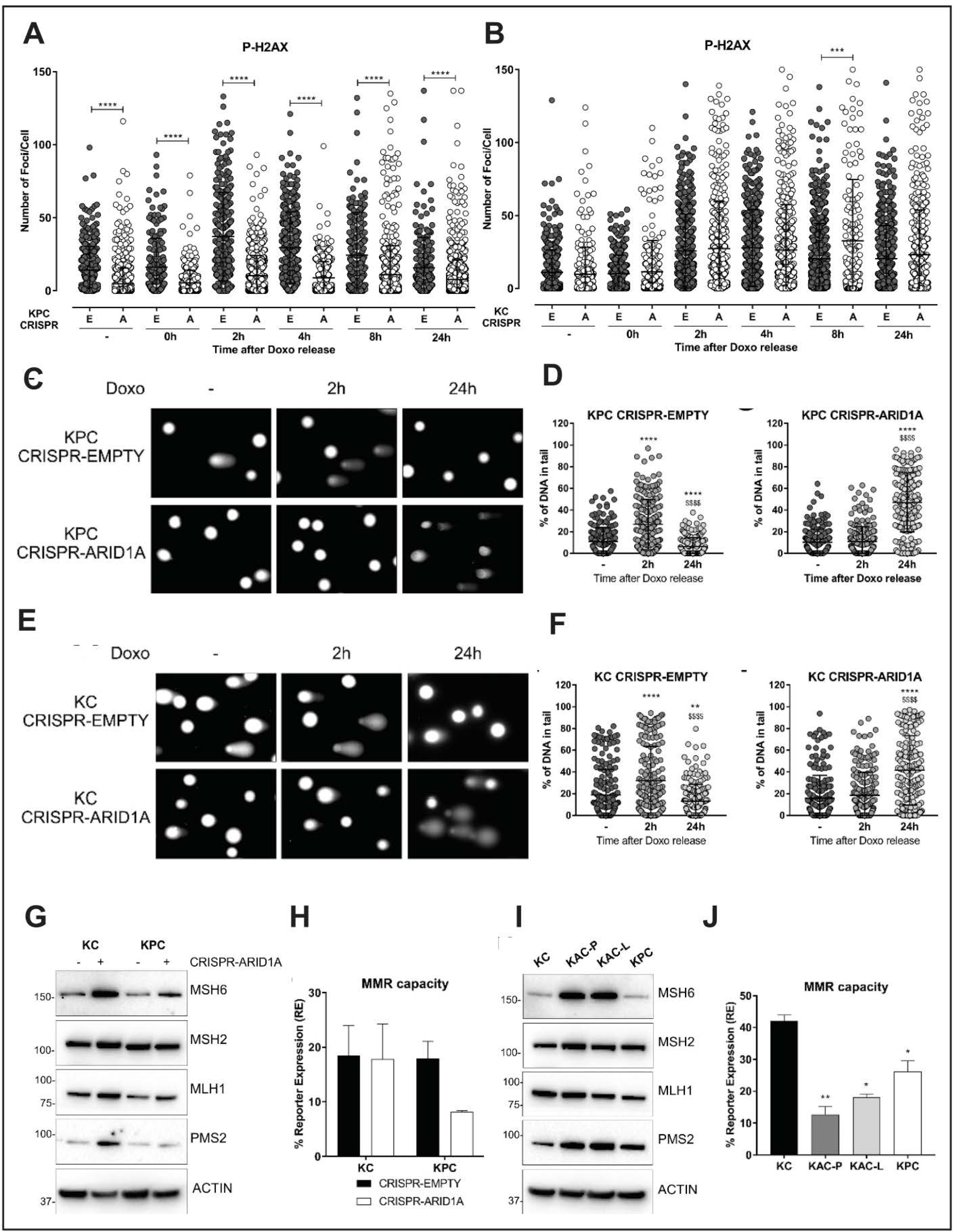 Cancers 12 02695 g006 Cancers 12 02695 g006
