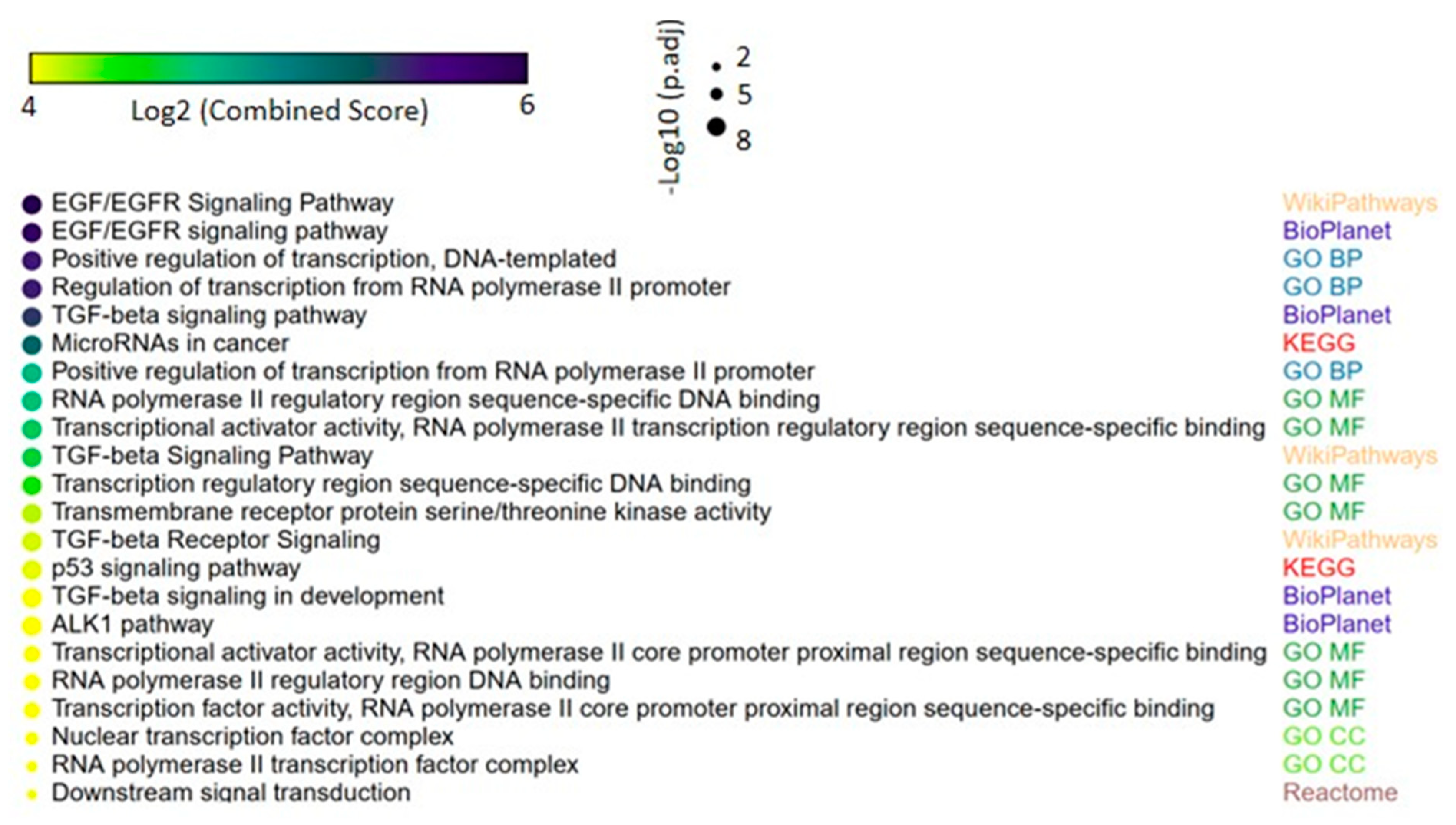 Cancers 12 02711 g005