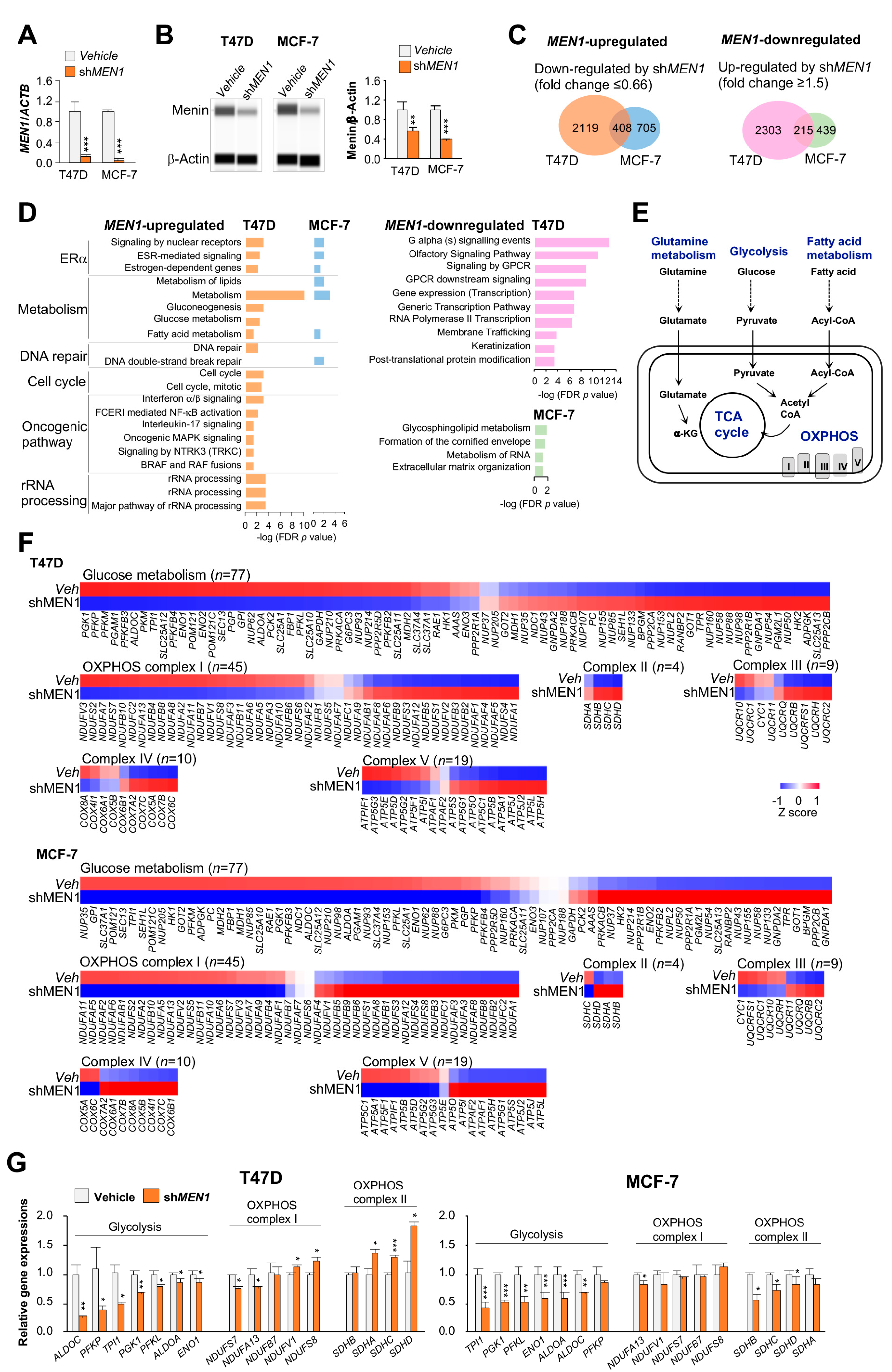 Cancers 12 02715 g001 Cancers 12 02715 g001