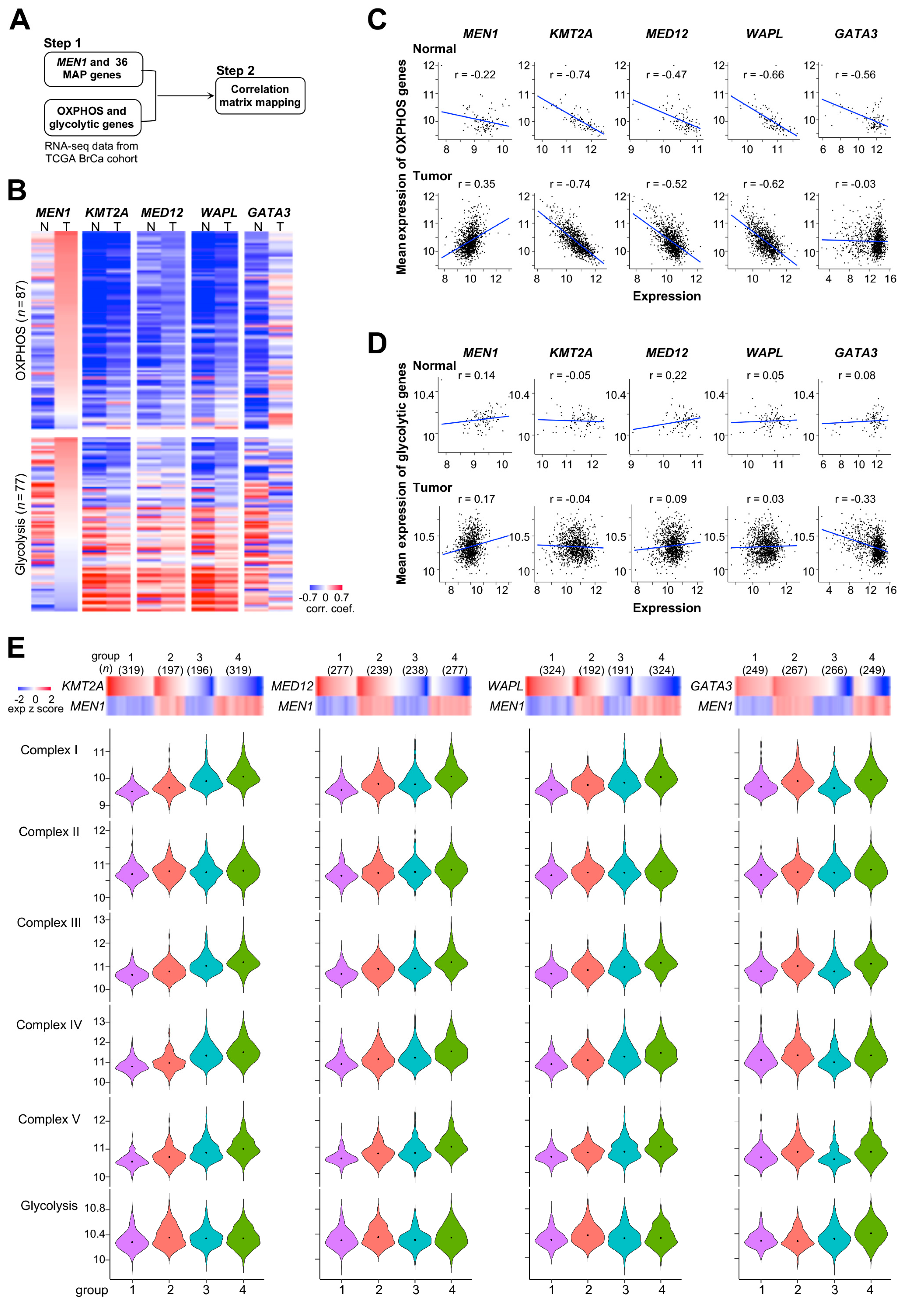 Cancers 12 02715 g003 Cancers 12 02715 g003