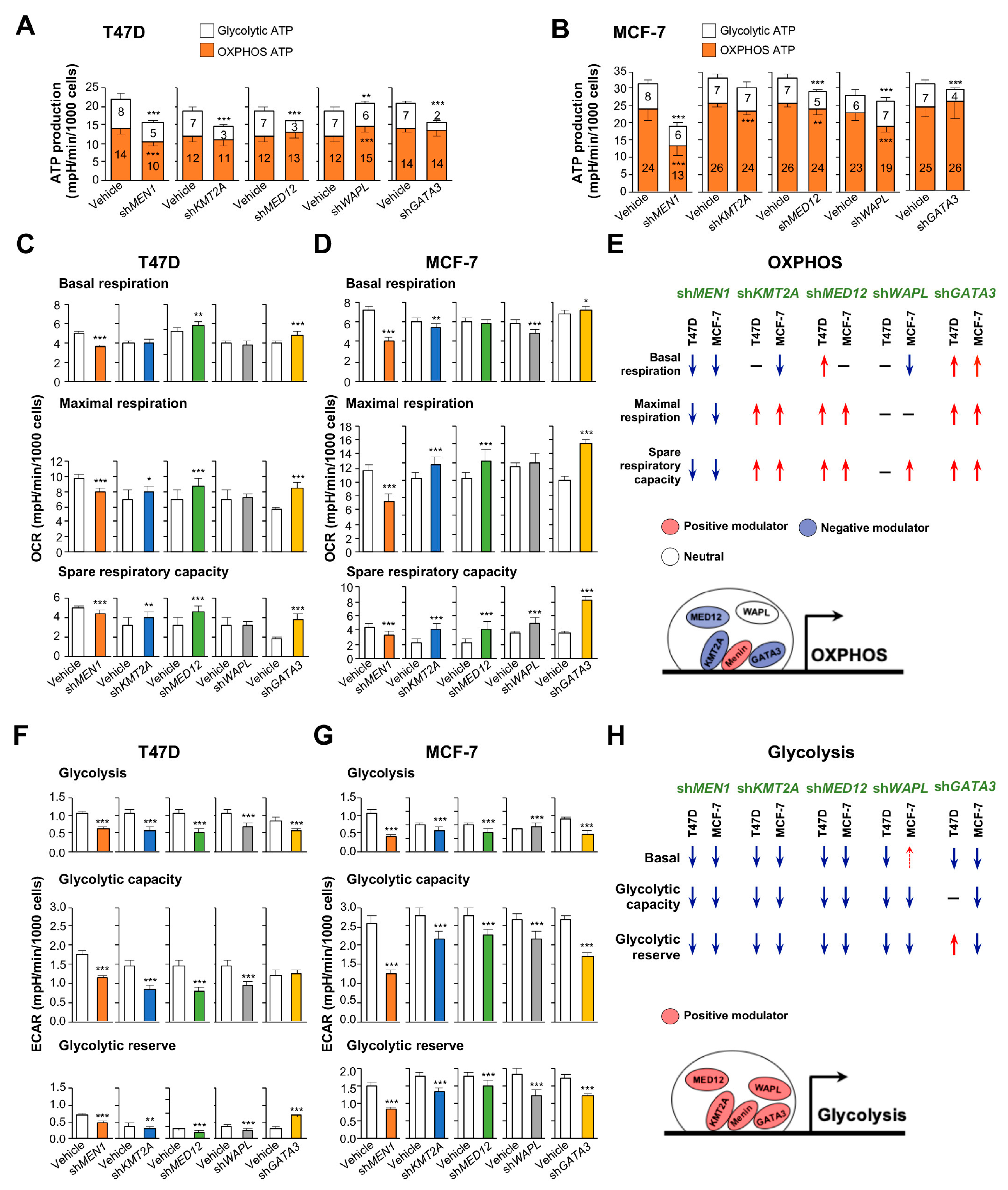Cancers 12 02715 g004 Cancers 12 02715 g004