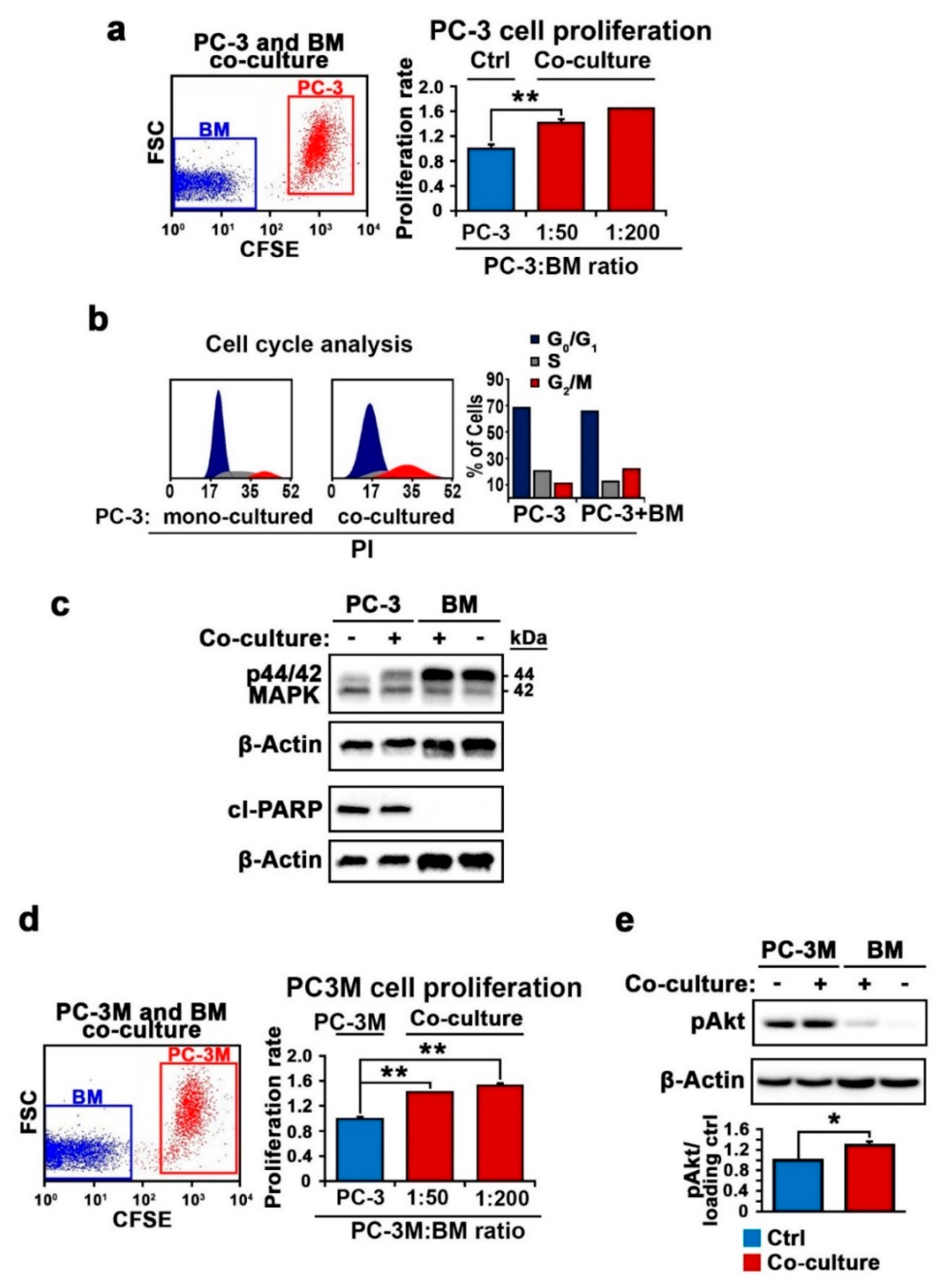 Cancers 12 02719 g001