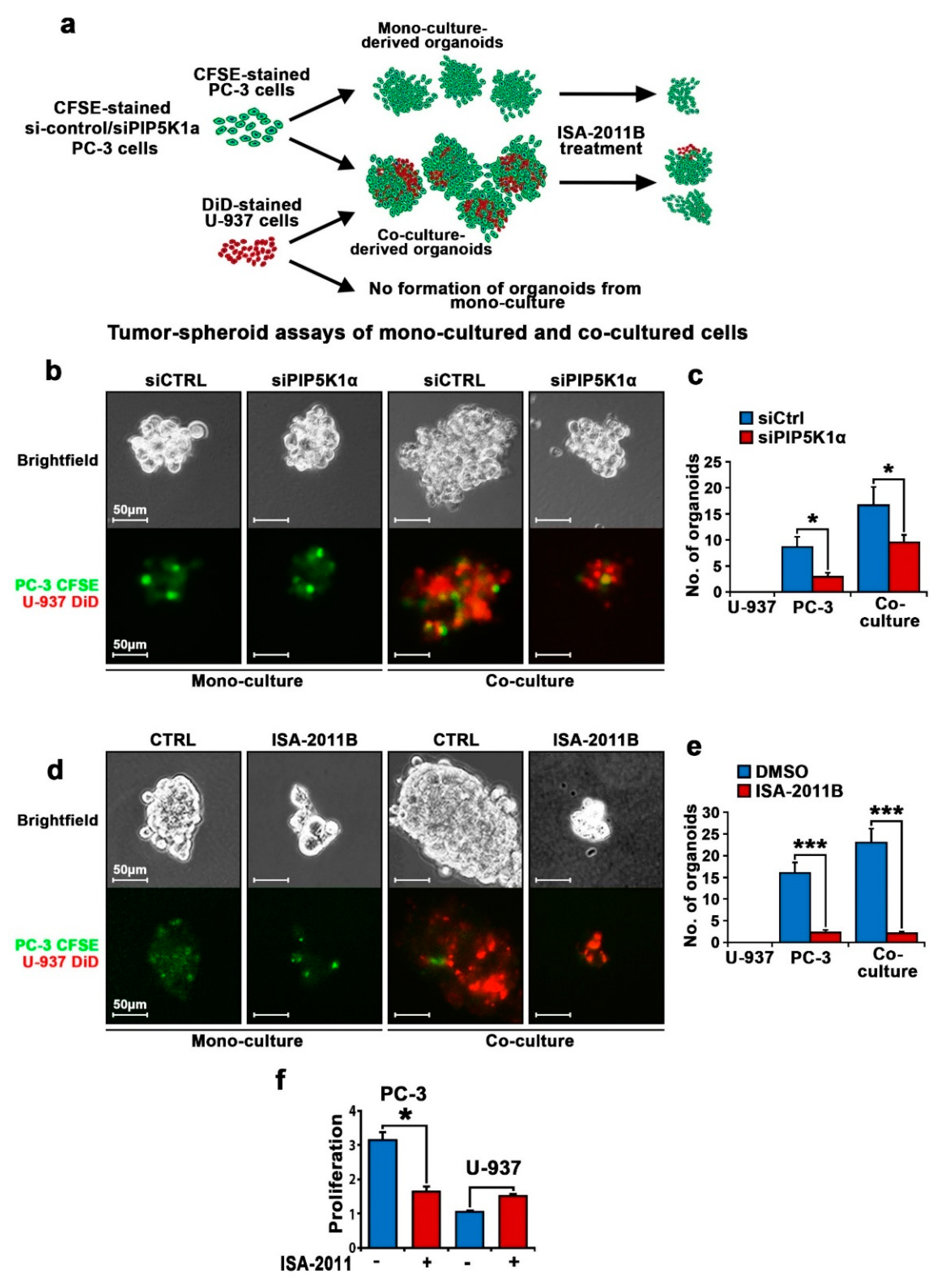 Cancers 12 02719 g006