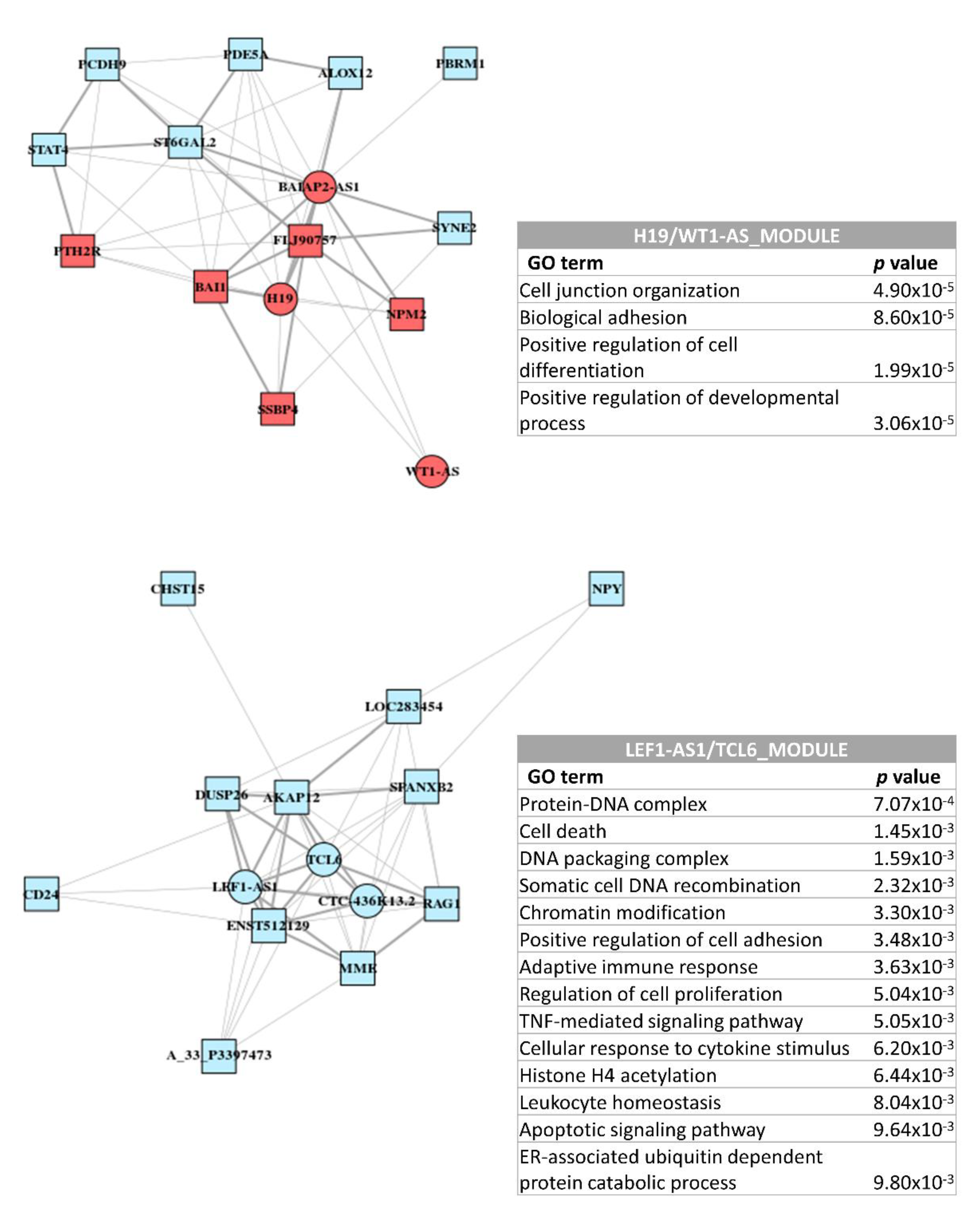 Cancers 12 02726 g006