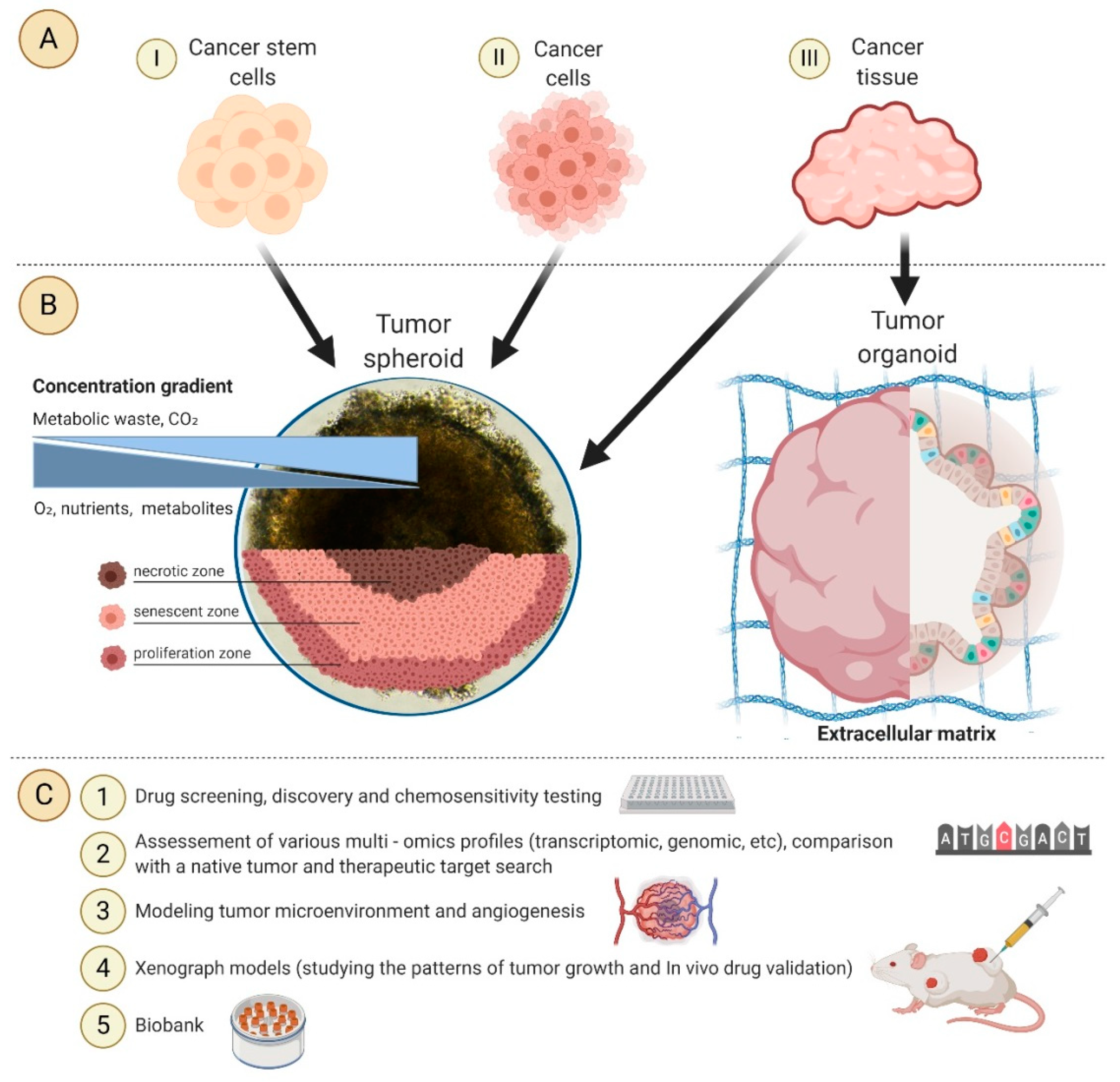Cancers 12 02727 g001