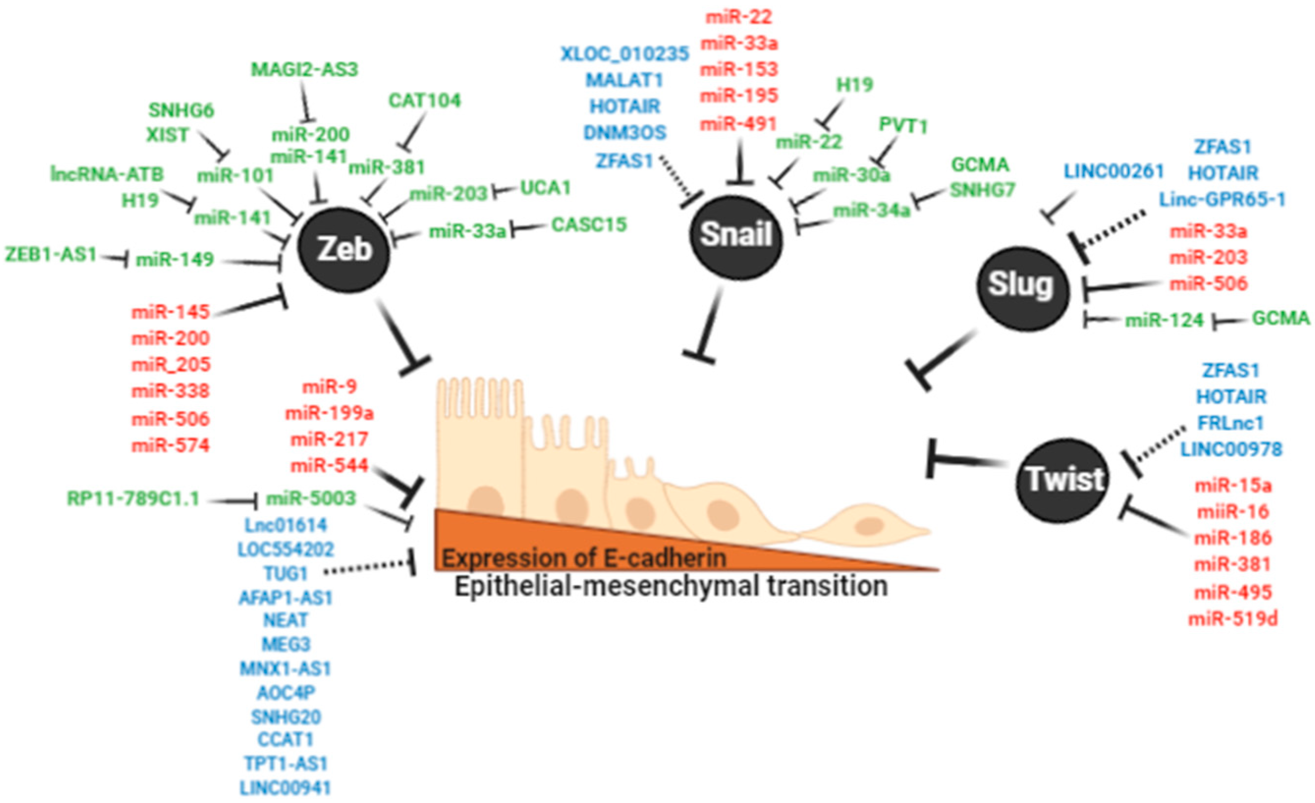 Cancers 12 02741 g003