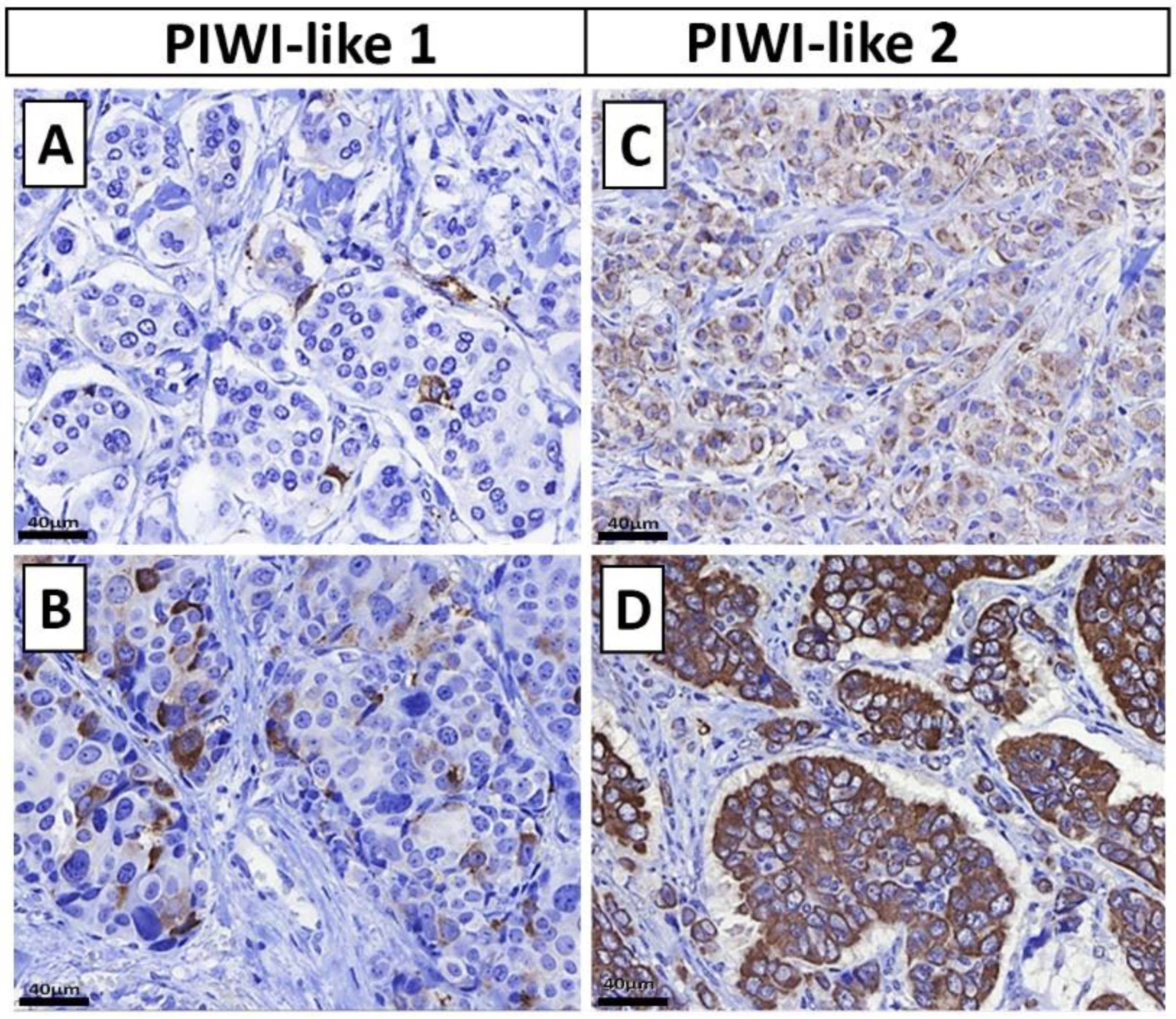 Cancers 12 02742 g003