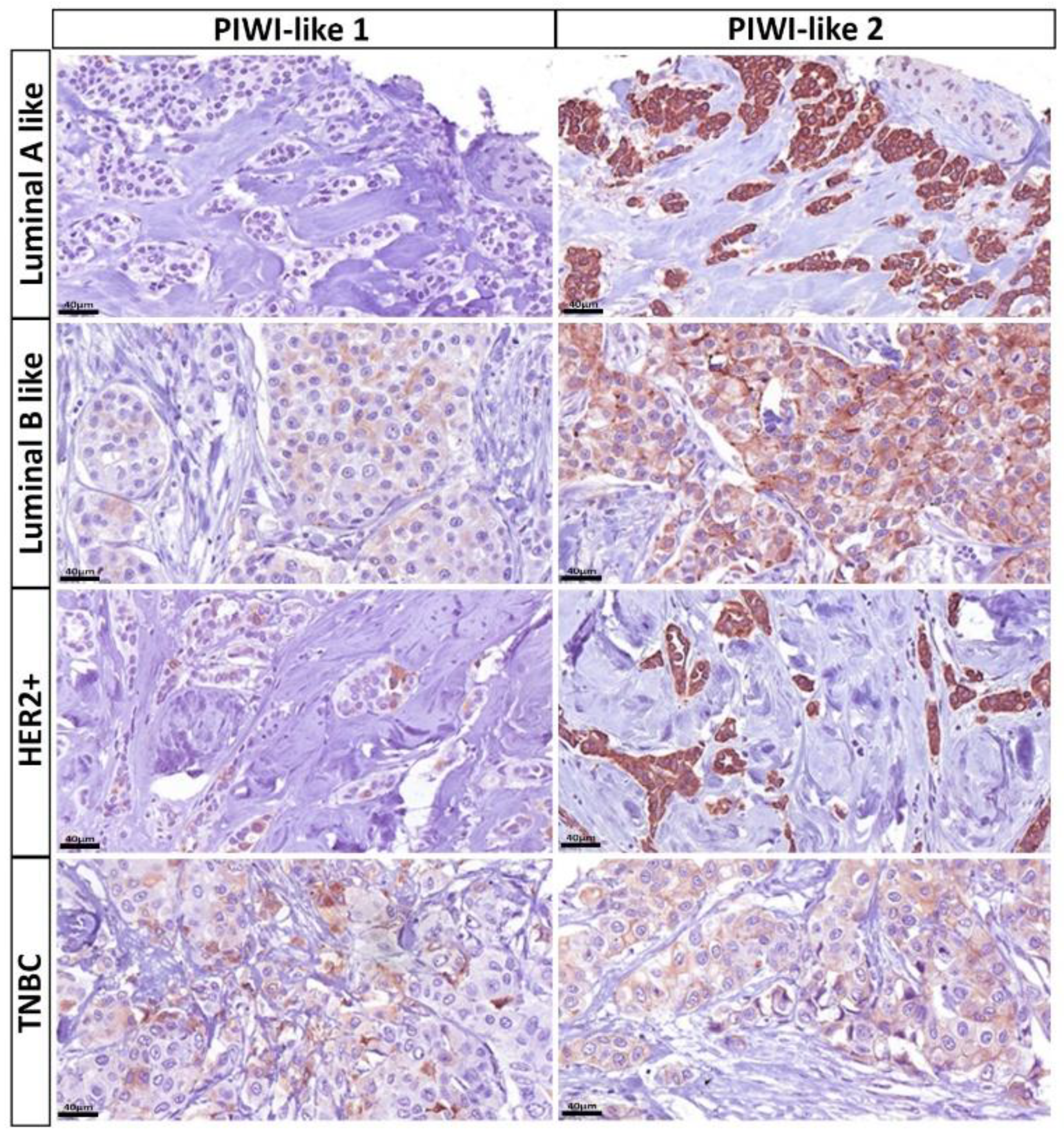 Cancers 12 02742 g007