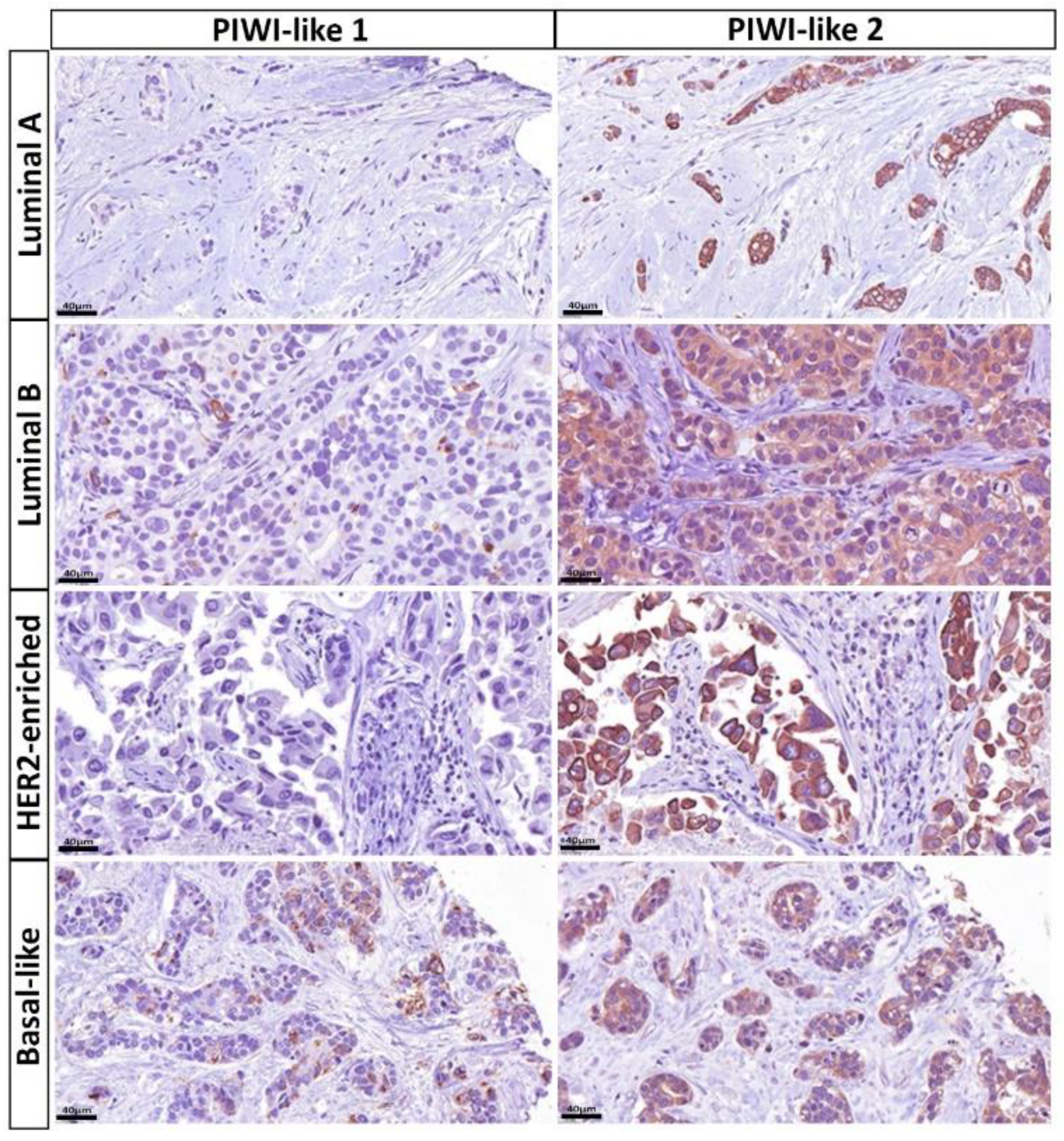 Cancers 12 02742 g008