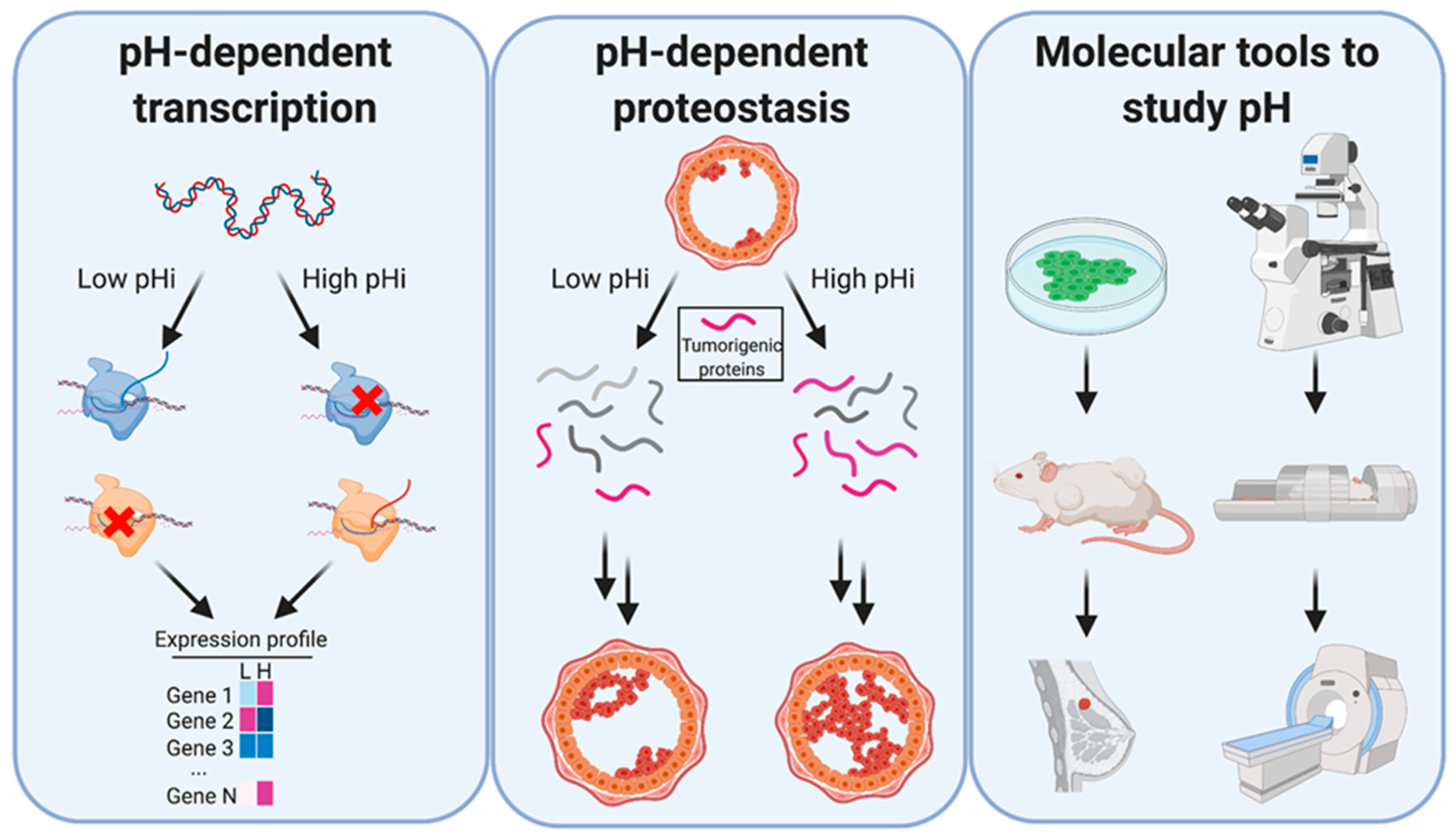 Cancers 12 02760 g002