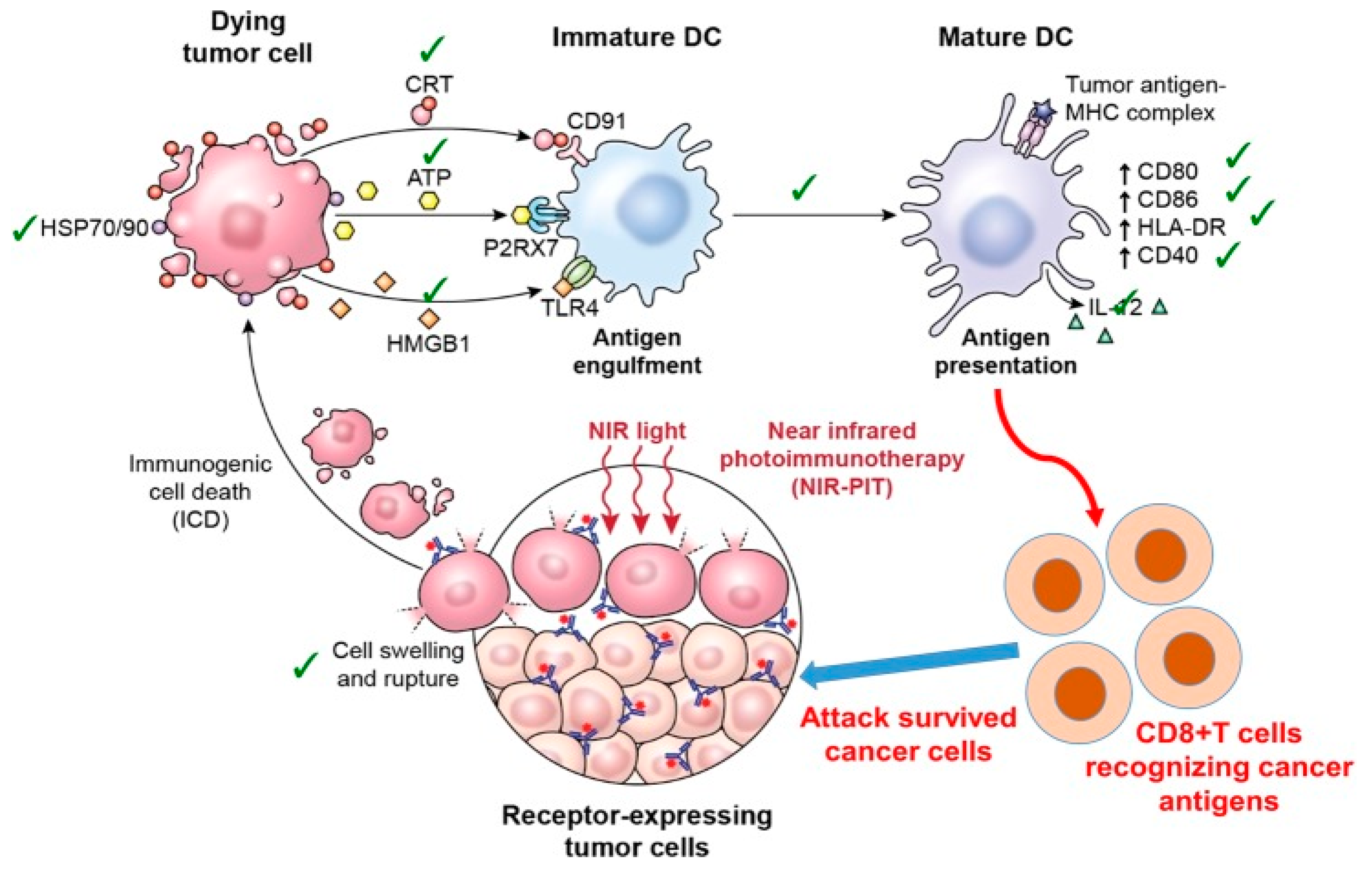 Cancers 12 02793 g002
