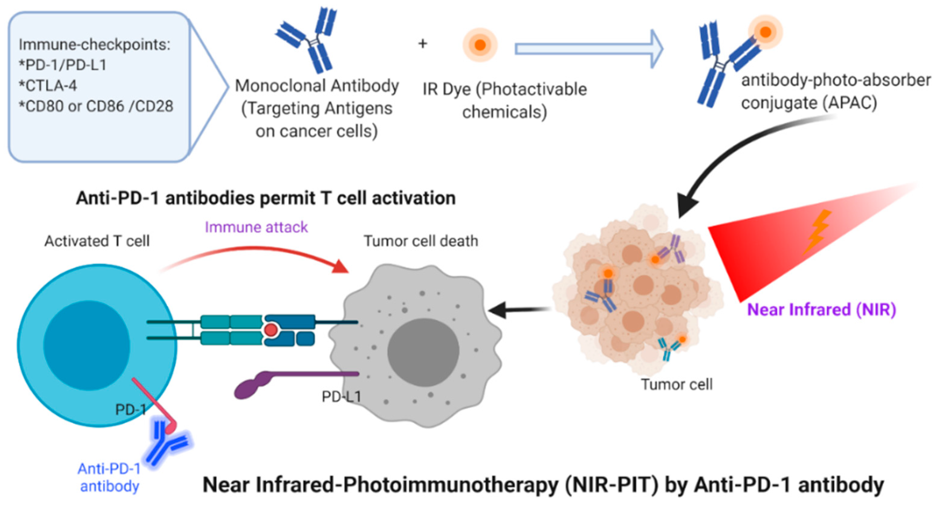 Cancers 12 02793 g003