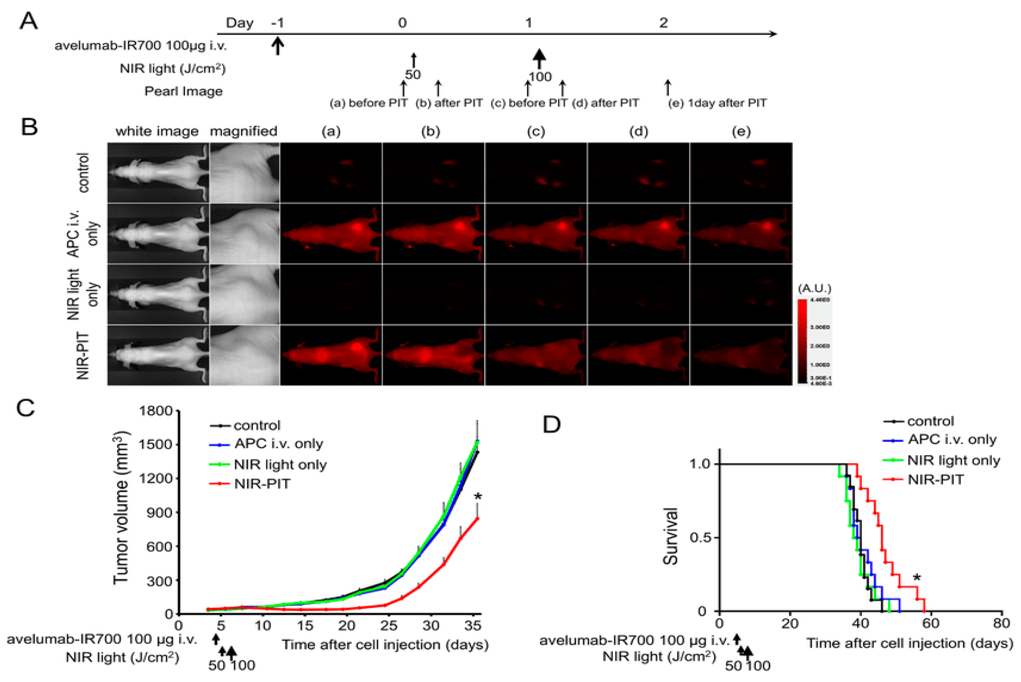 Cancers 12 02793 g004