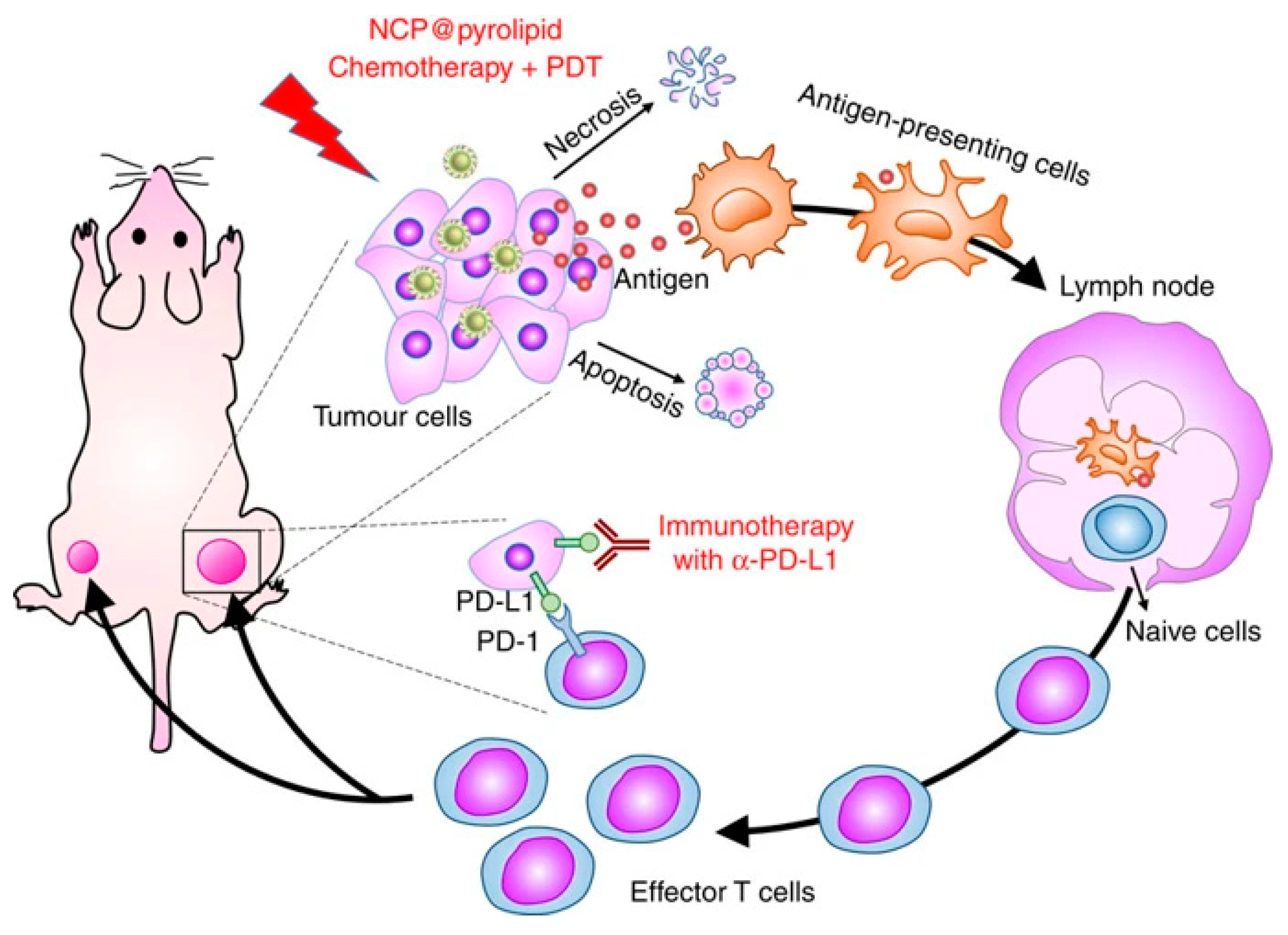 Cancers 12 02793 g005