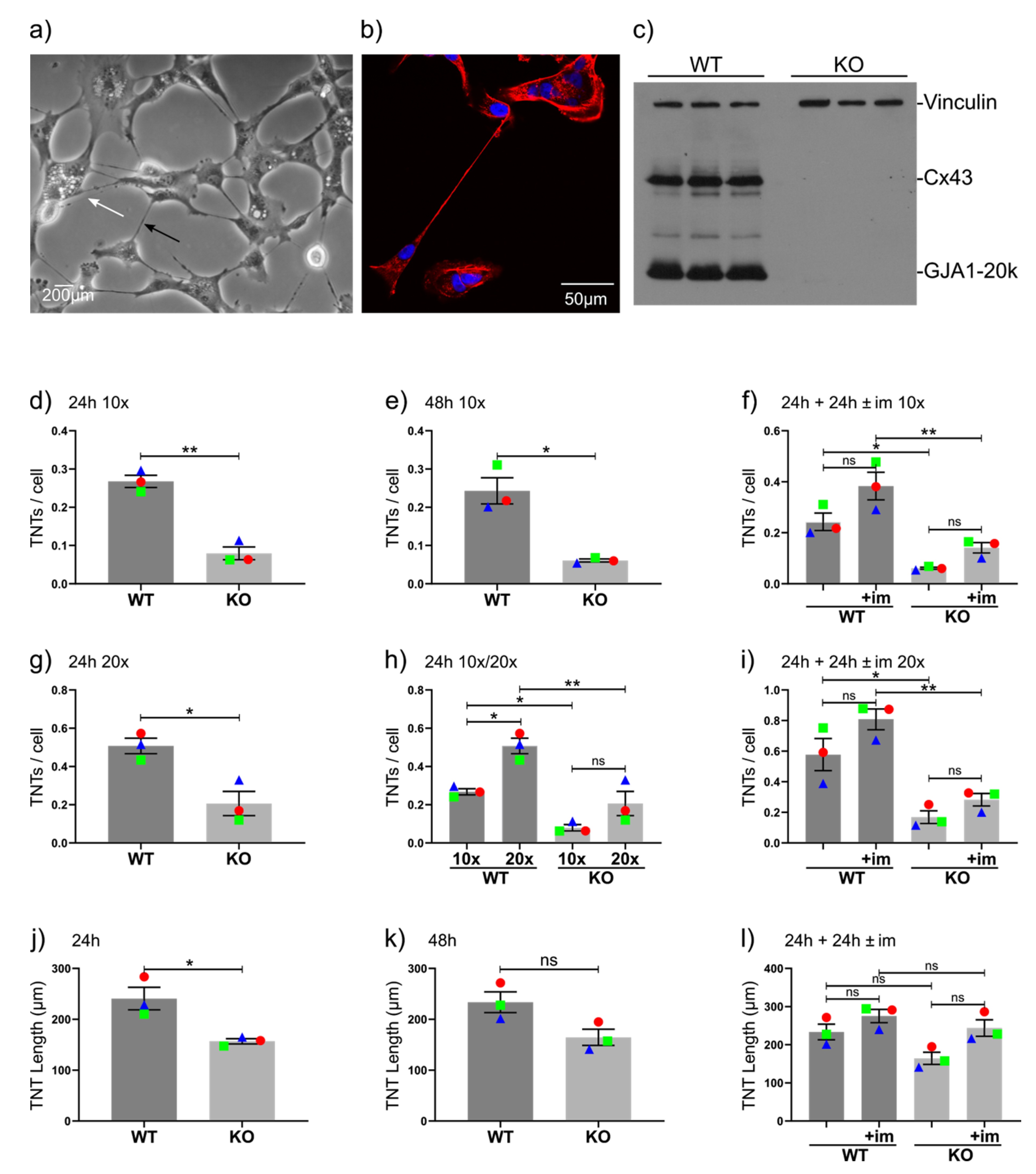 Cancers 12 02798 g001