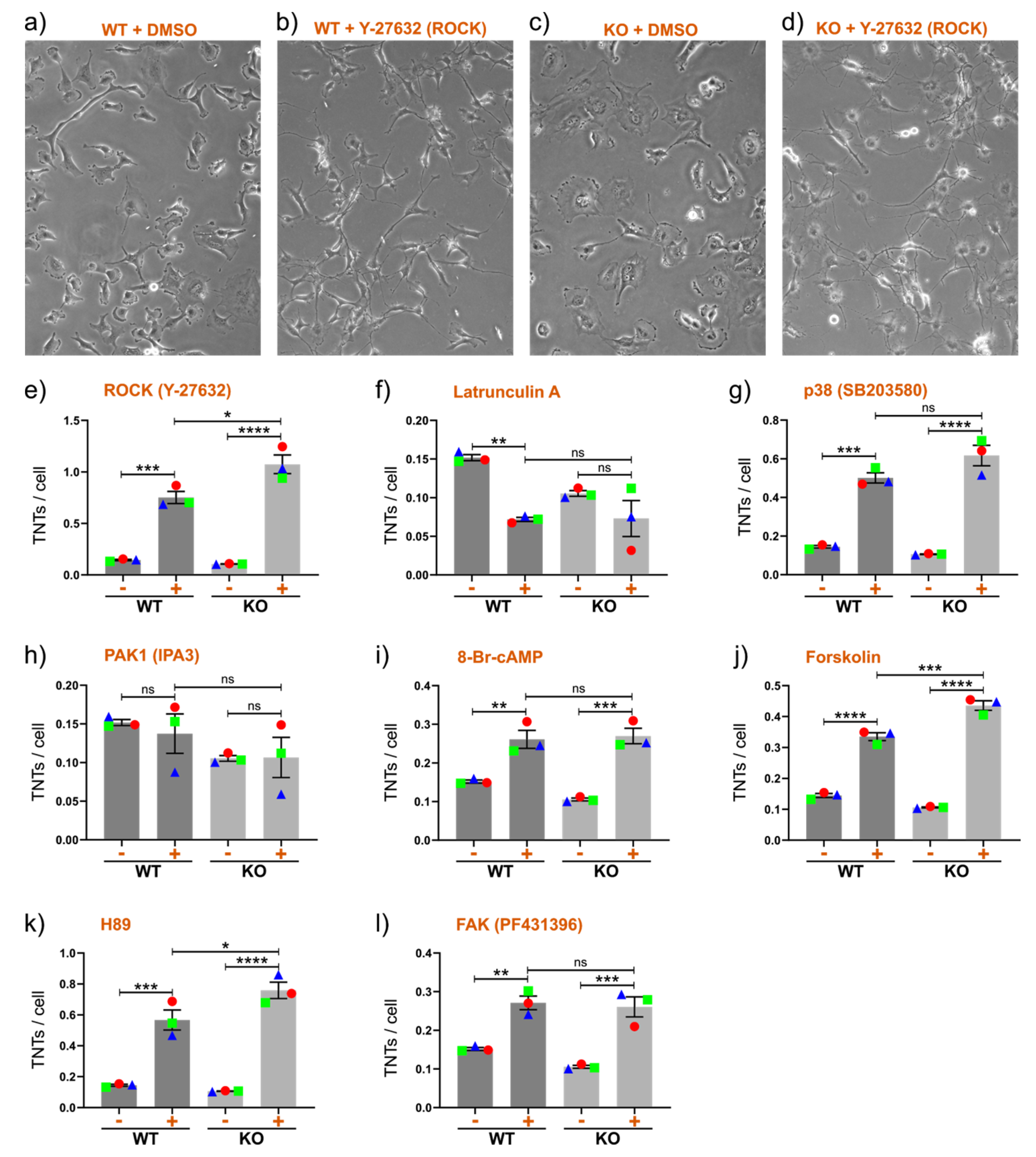 Cancers 12 02798 g003