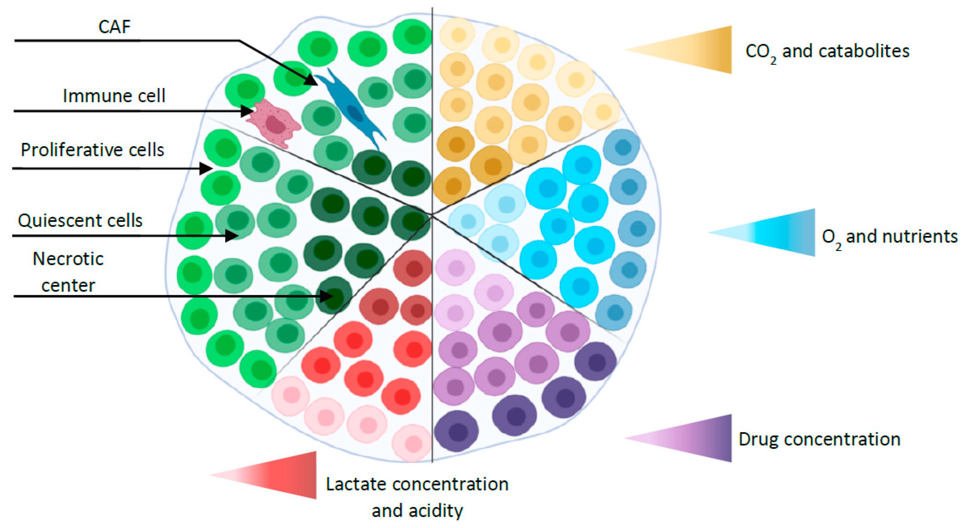 Cancers 12 02800 g001 Cancers 12 02800 g001