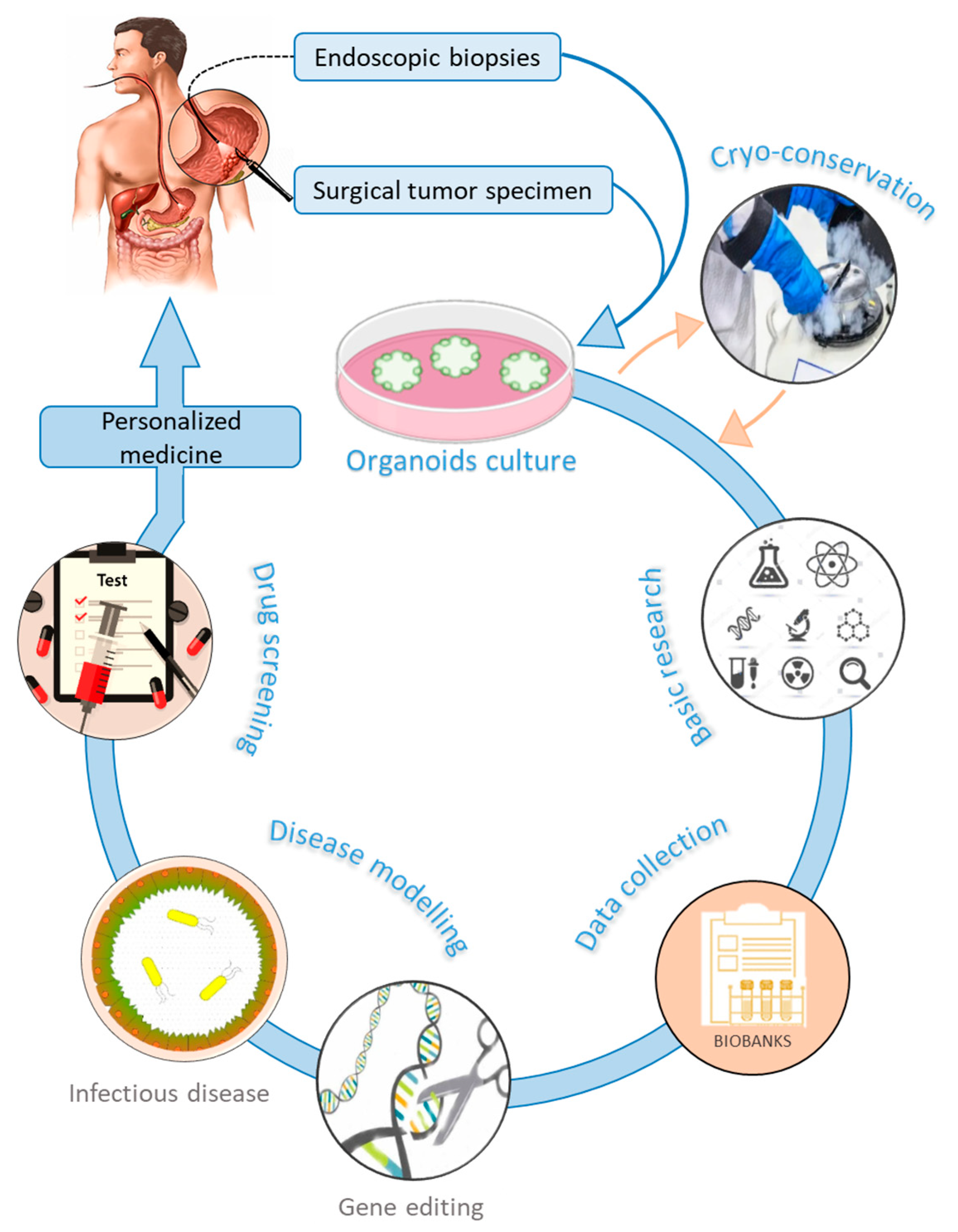 Cancers 12 02800 g002 Cancers 12 02800 g002