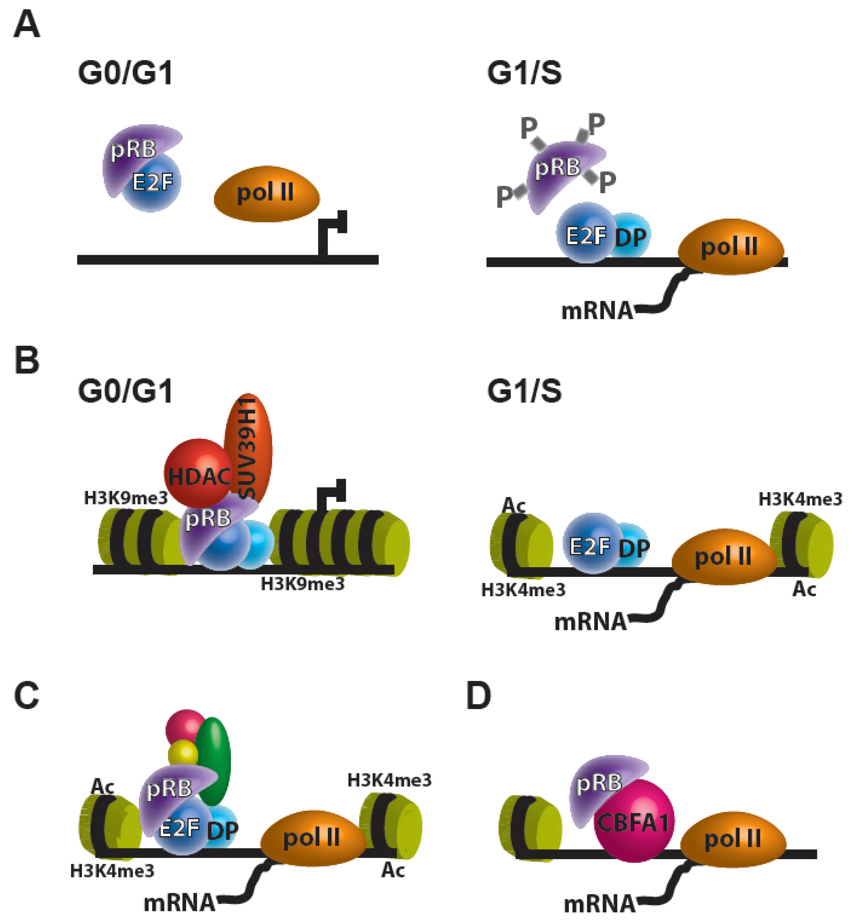 Cancers 12 02807 g001