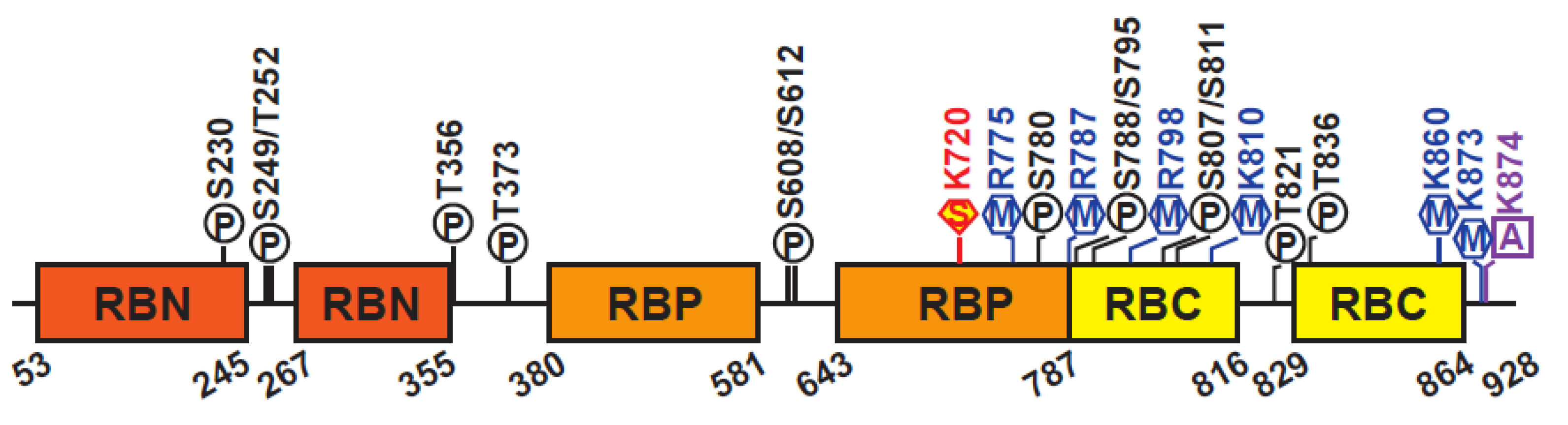 Cancers 12 02807 g002