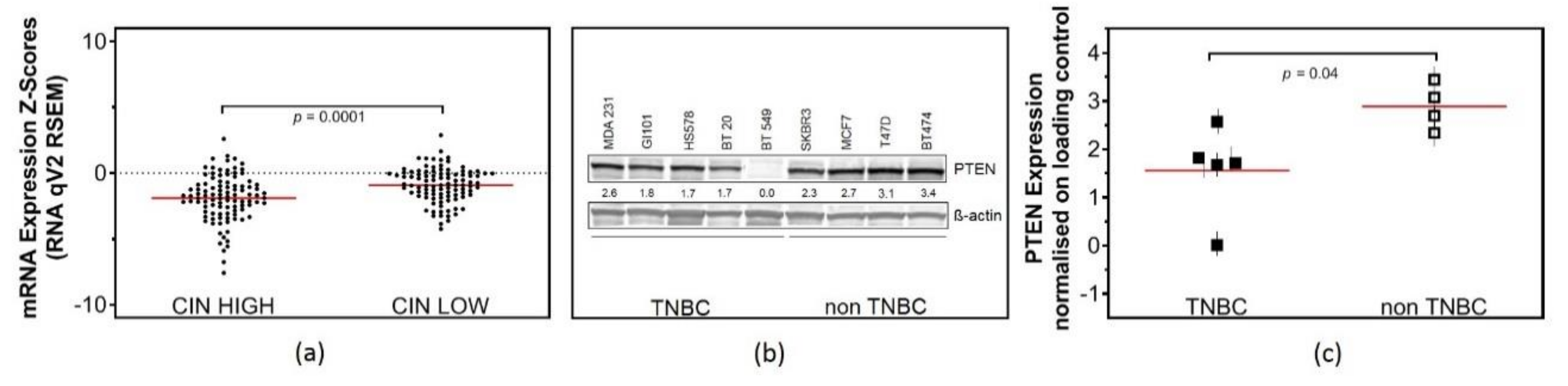 Cancers 12 02809 g001 Cancers 12 02809 g001
