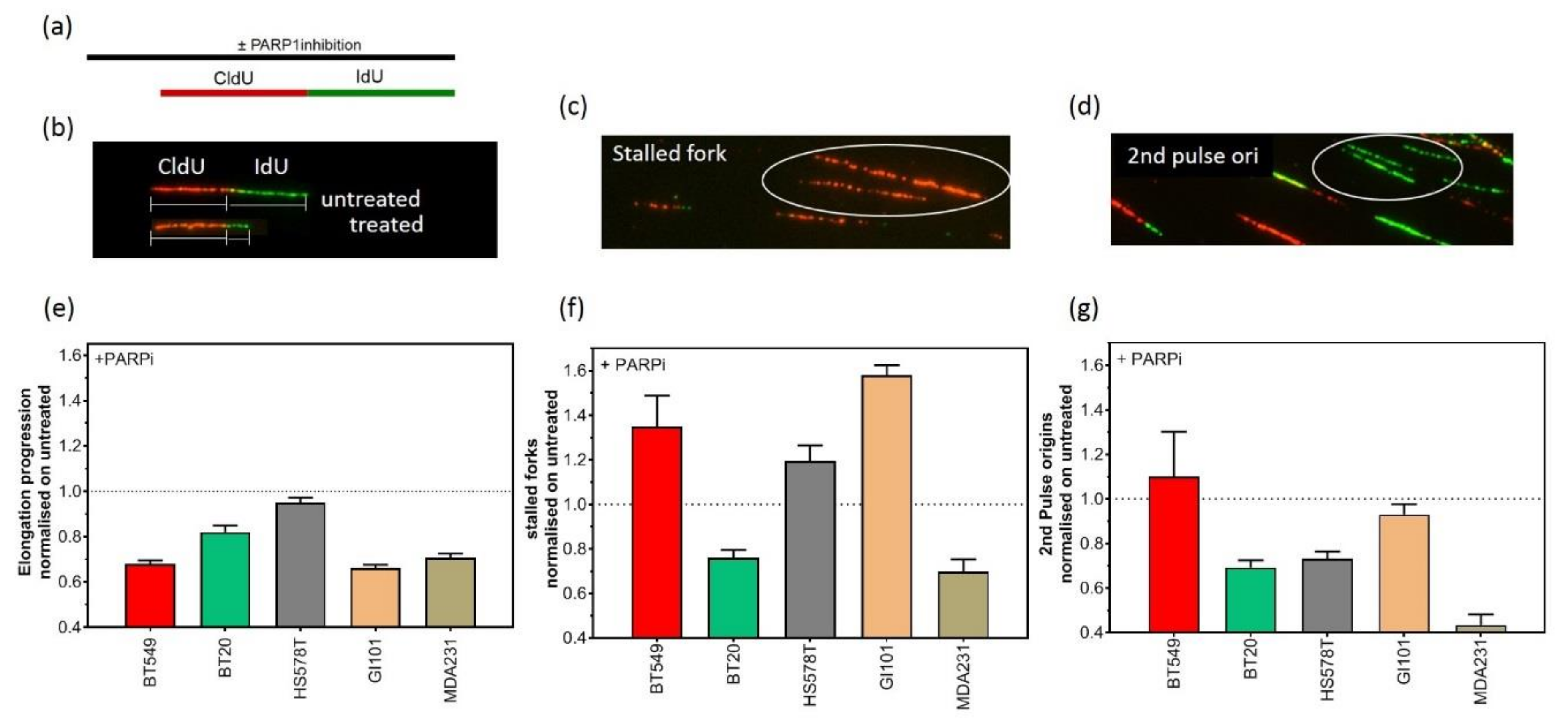 Cancers 12 02809 g003 Cancers 12 02809 g003