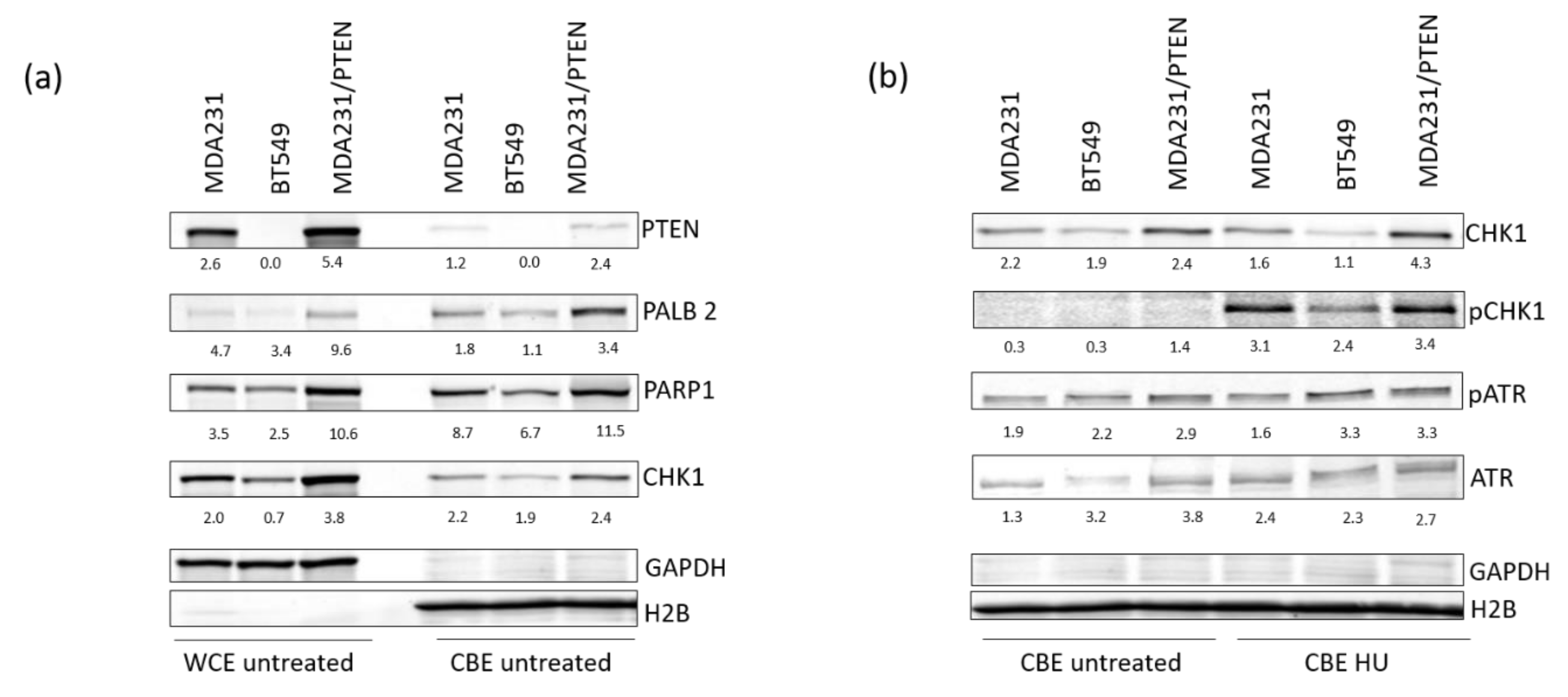 Cancers 12 02809 g006 Cancers 12 02809 g006