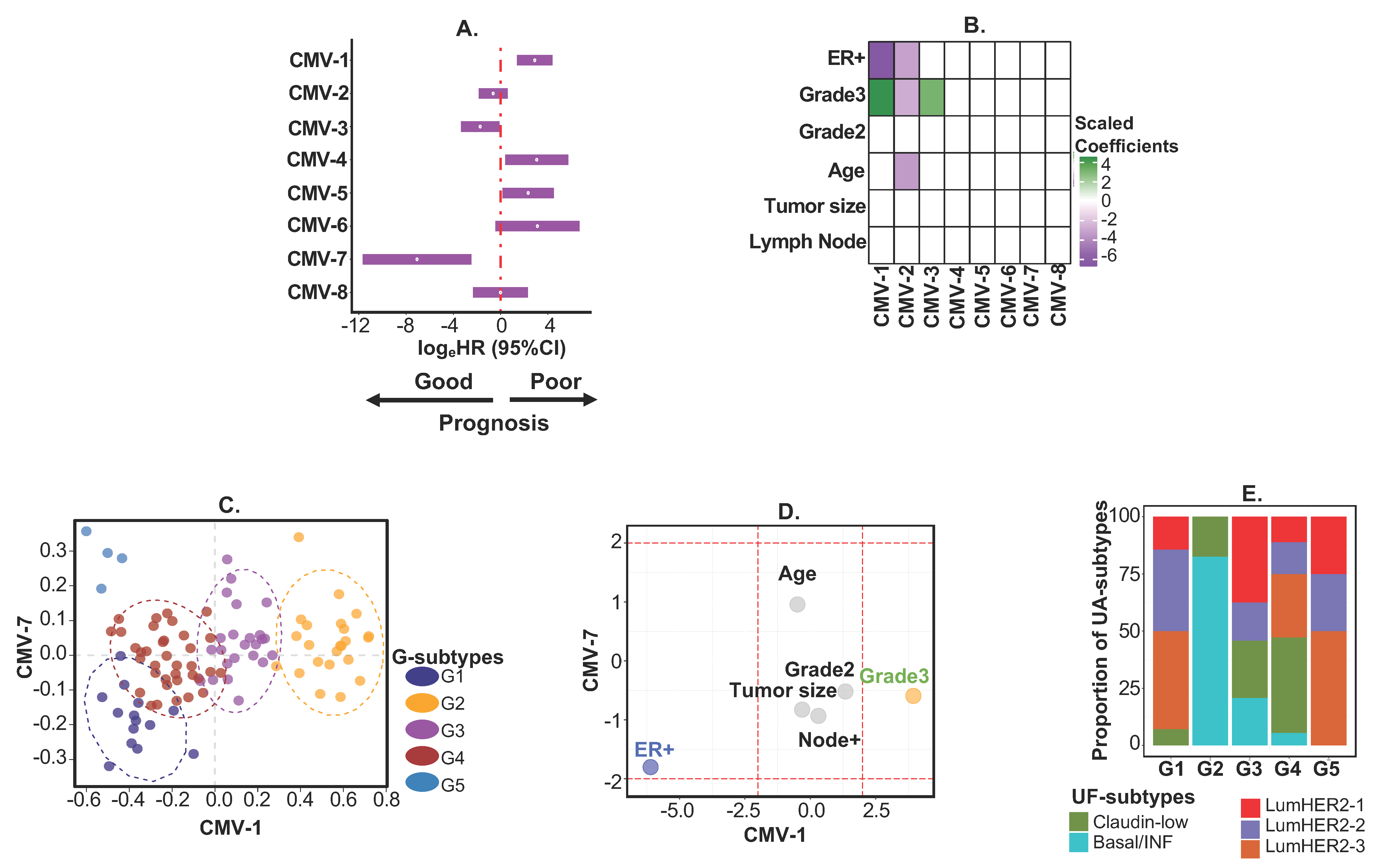 Cancers 12 02811 g005