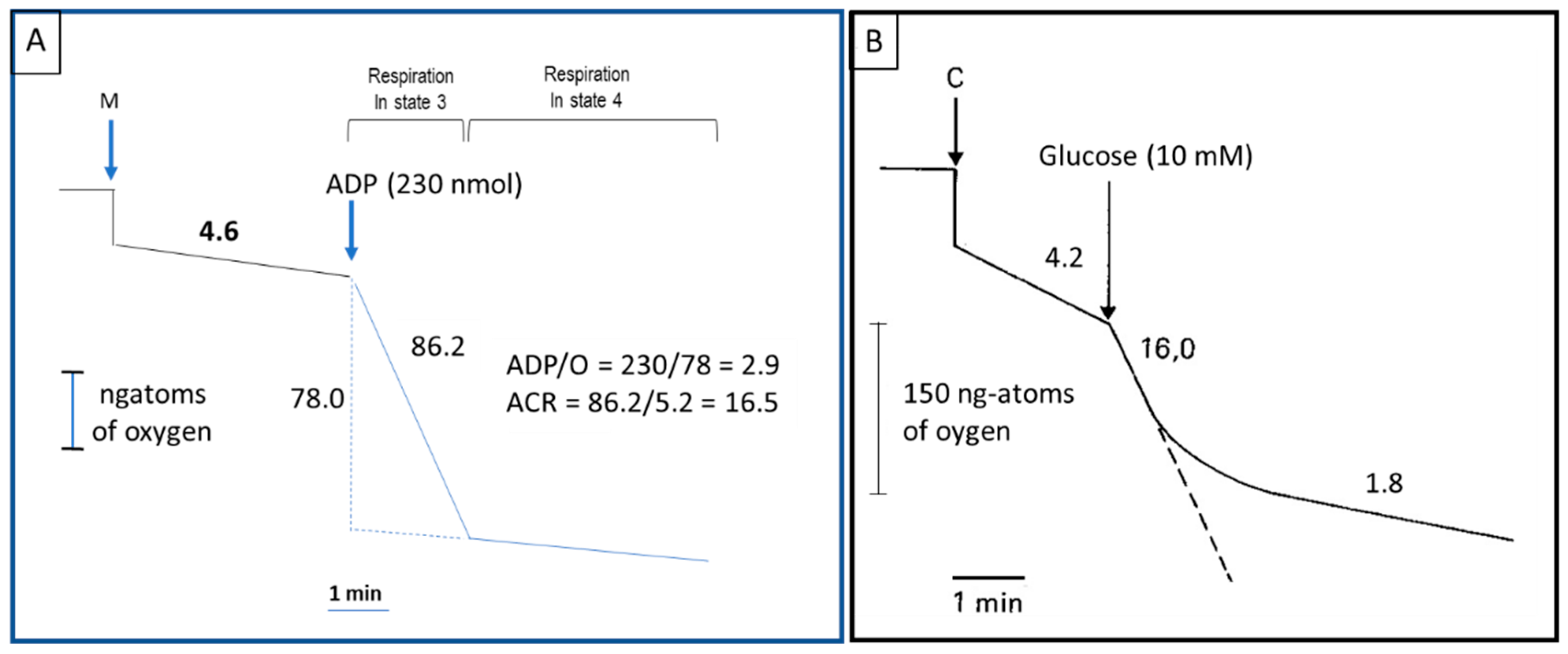 Cancers 12 02819 g001