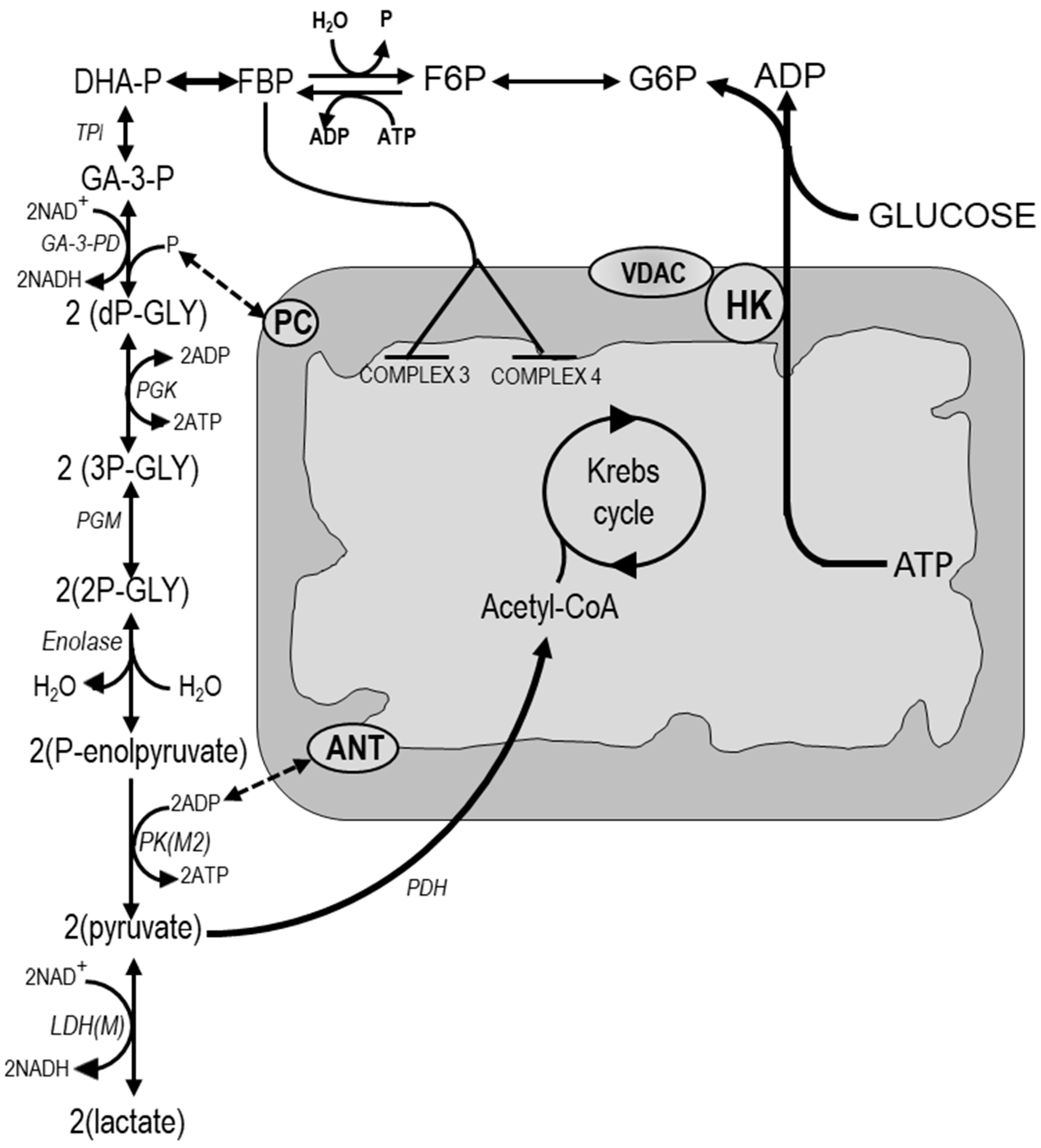 Cancers 12 02819 g002