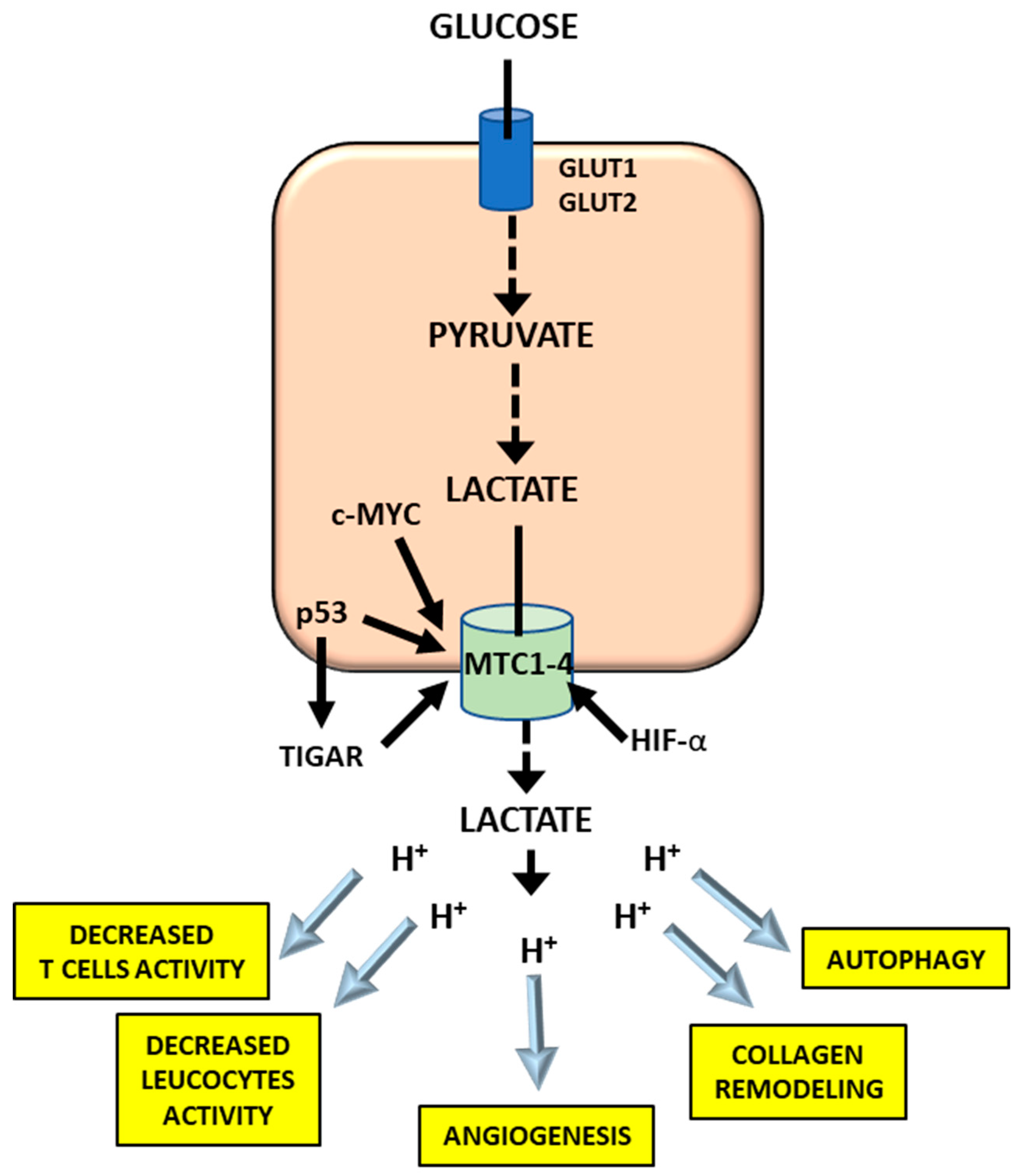 Cancers 12 02819 g004