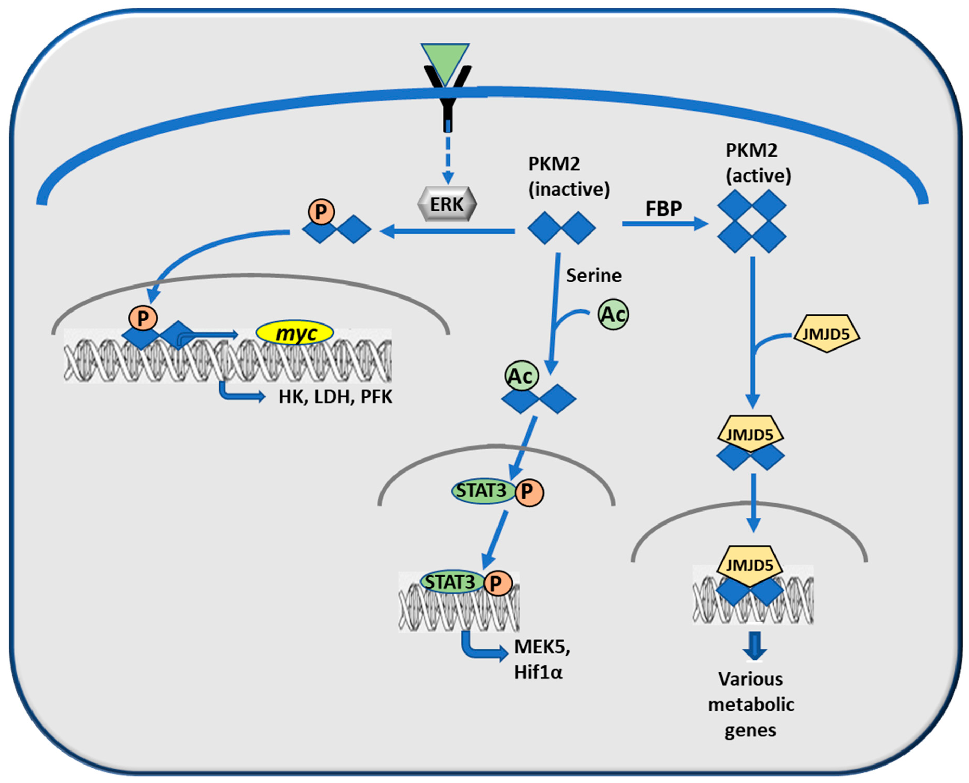 Cancers 12 02819 g005