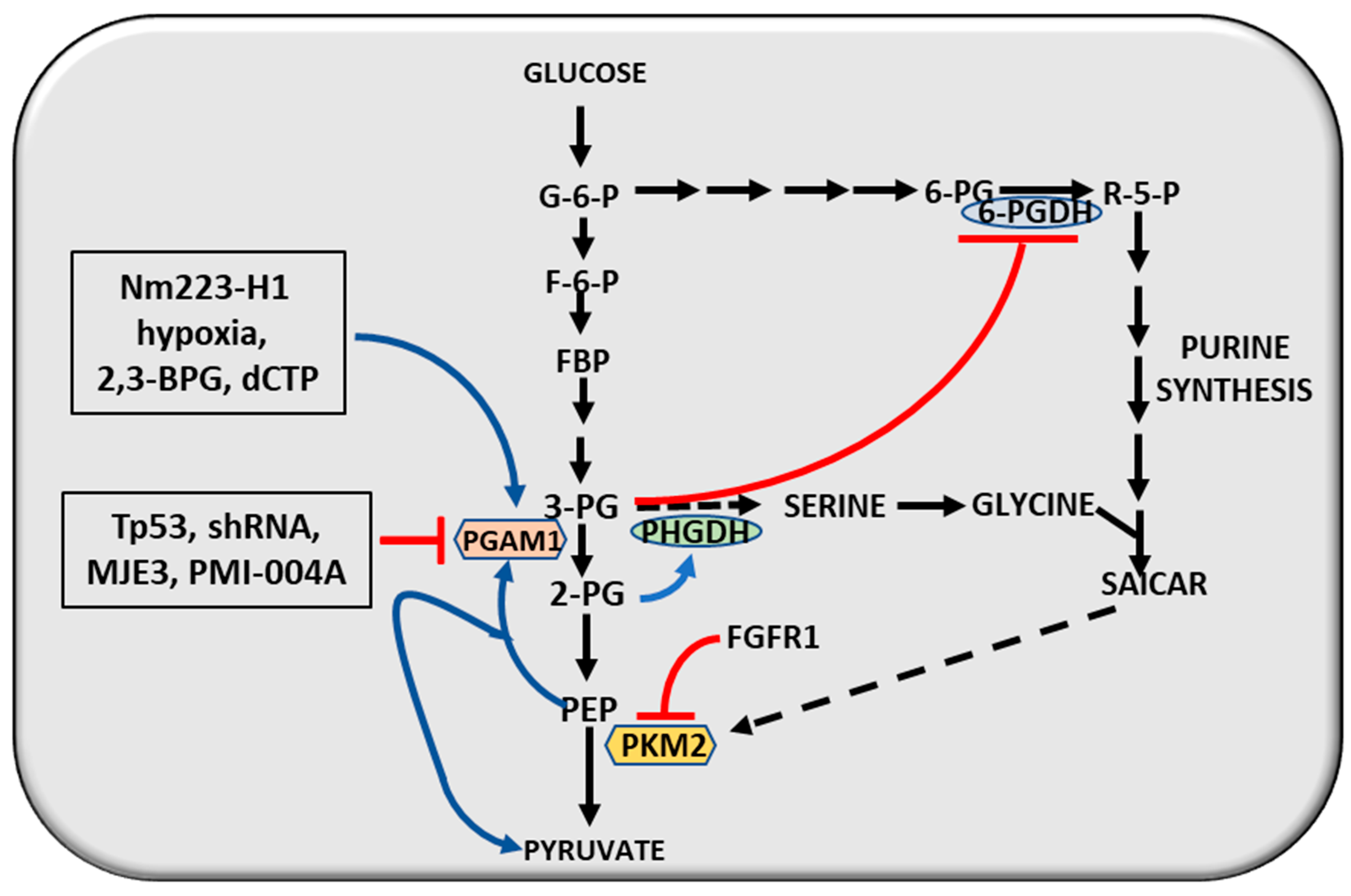 Cancers 12 02819 g006