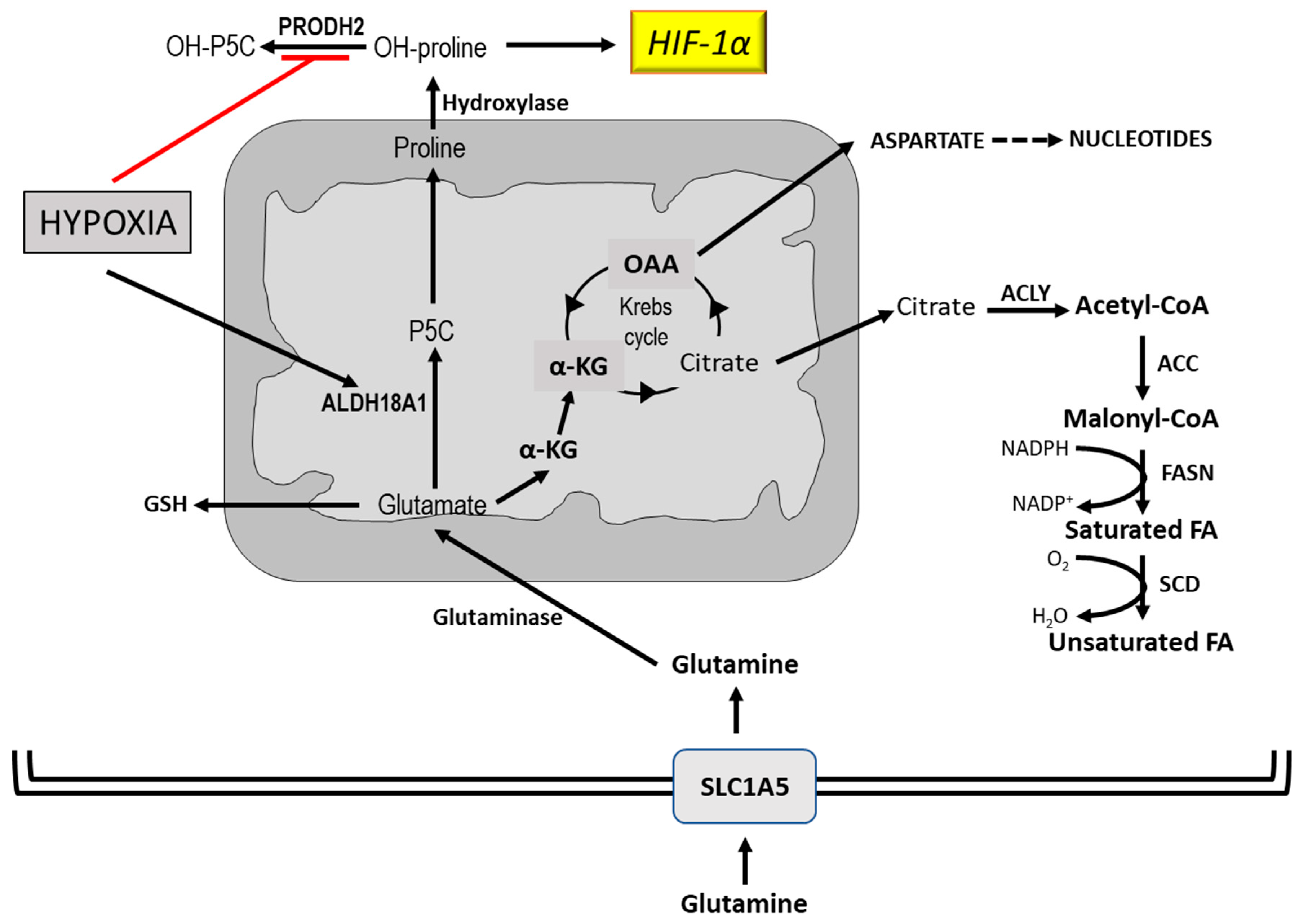 Cancers 12 02819 g007