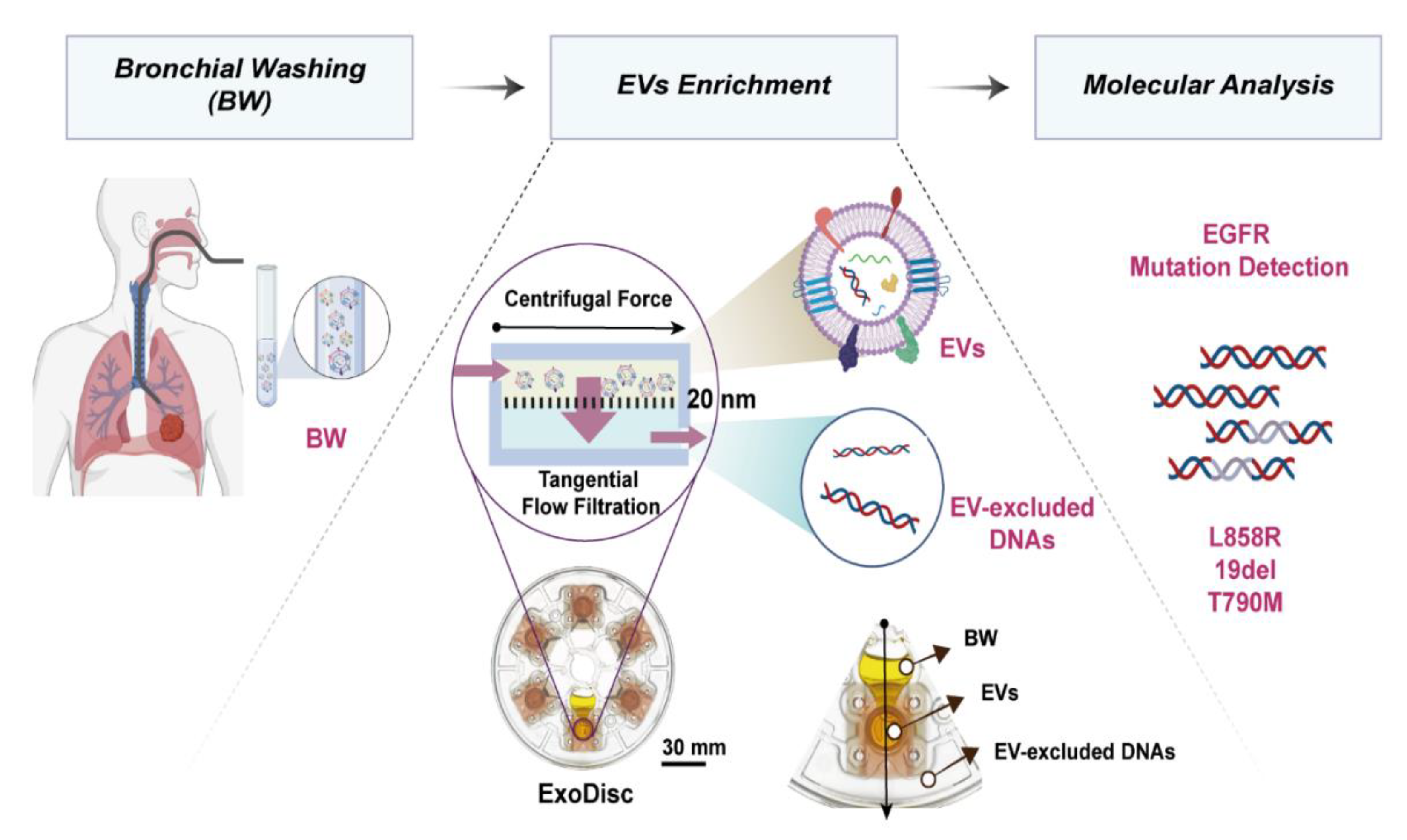 Cancers 12 02822 g001