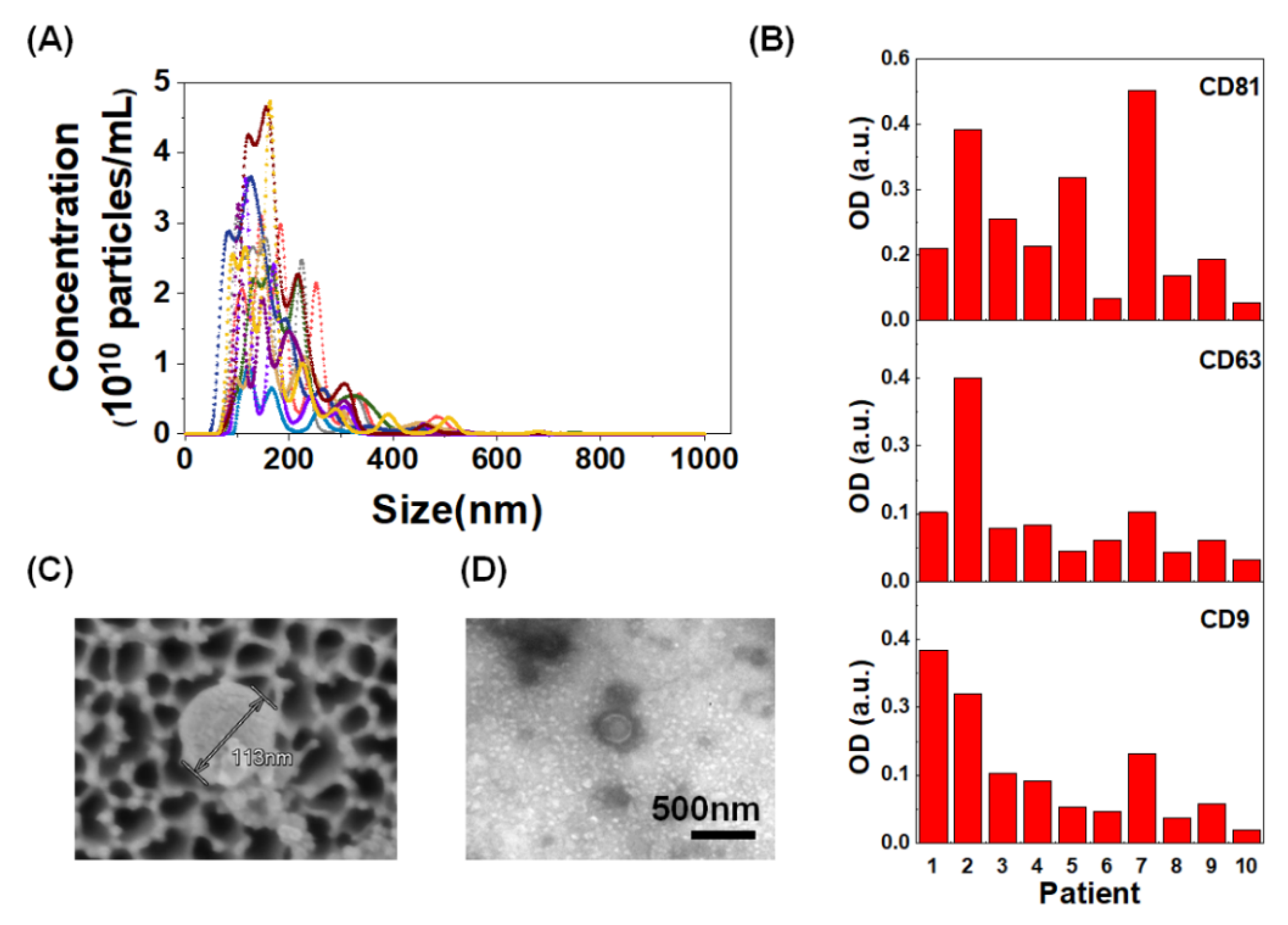 Cancers 12 02822 g002