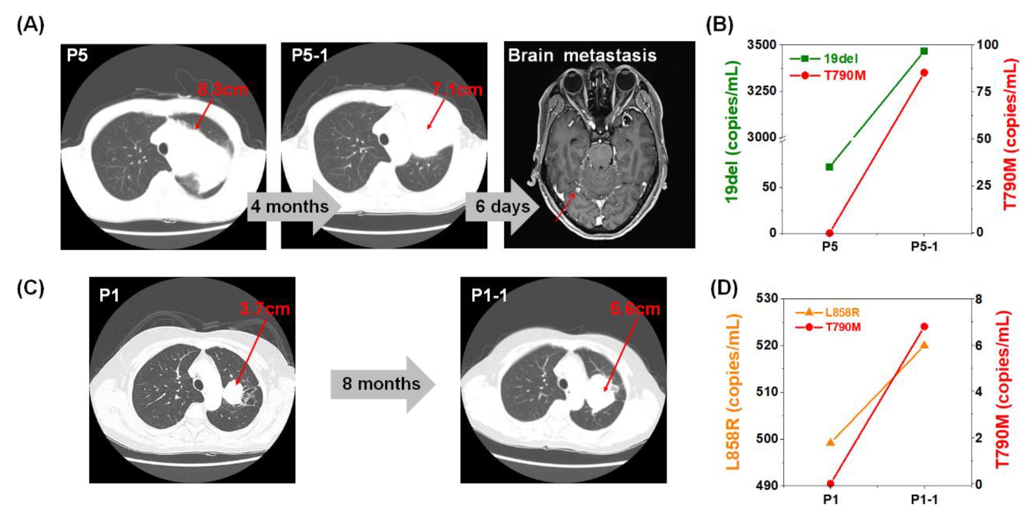 Cancers 12 02822 g004