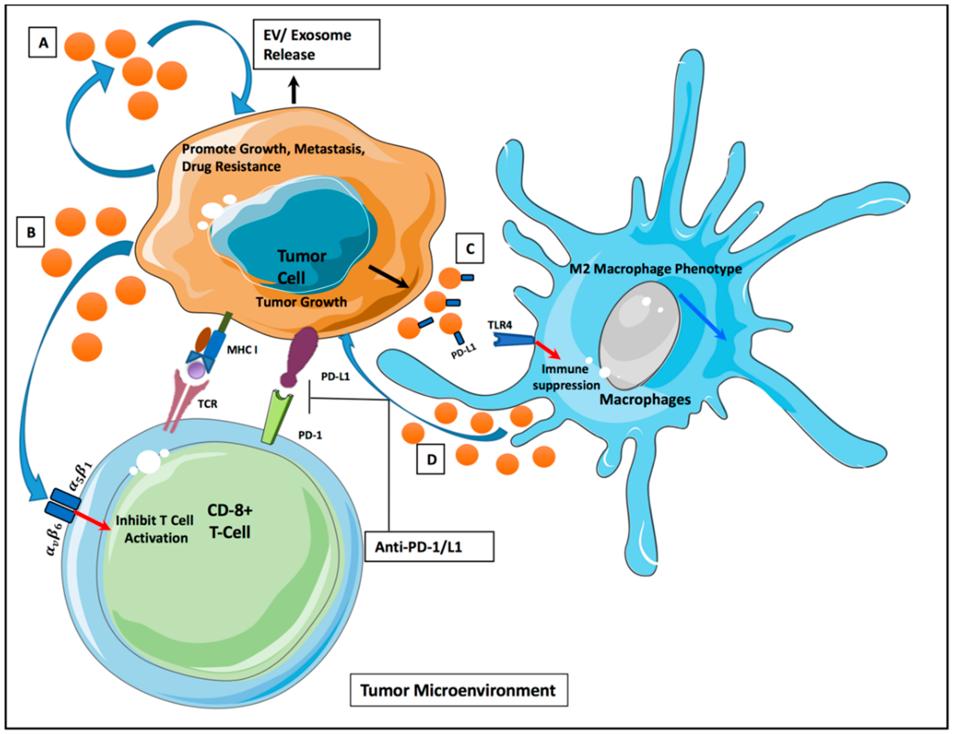Cancers 12 02825 g001