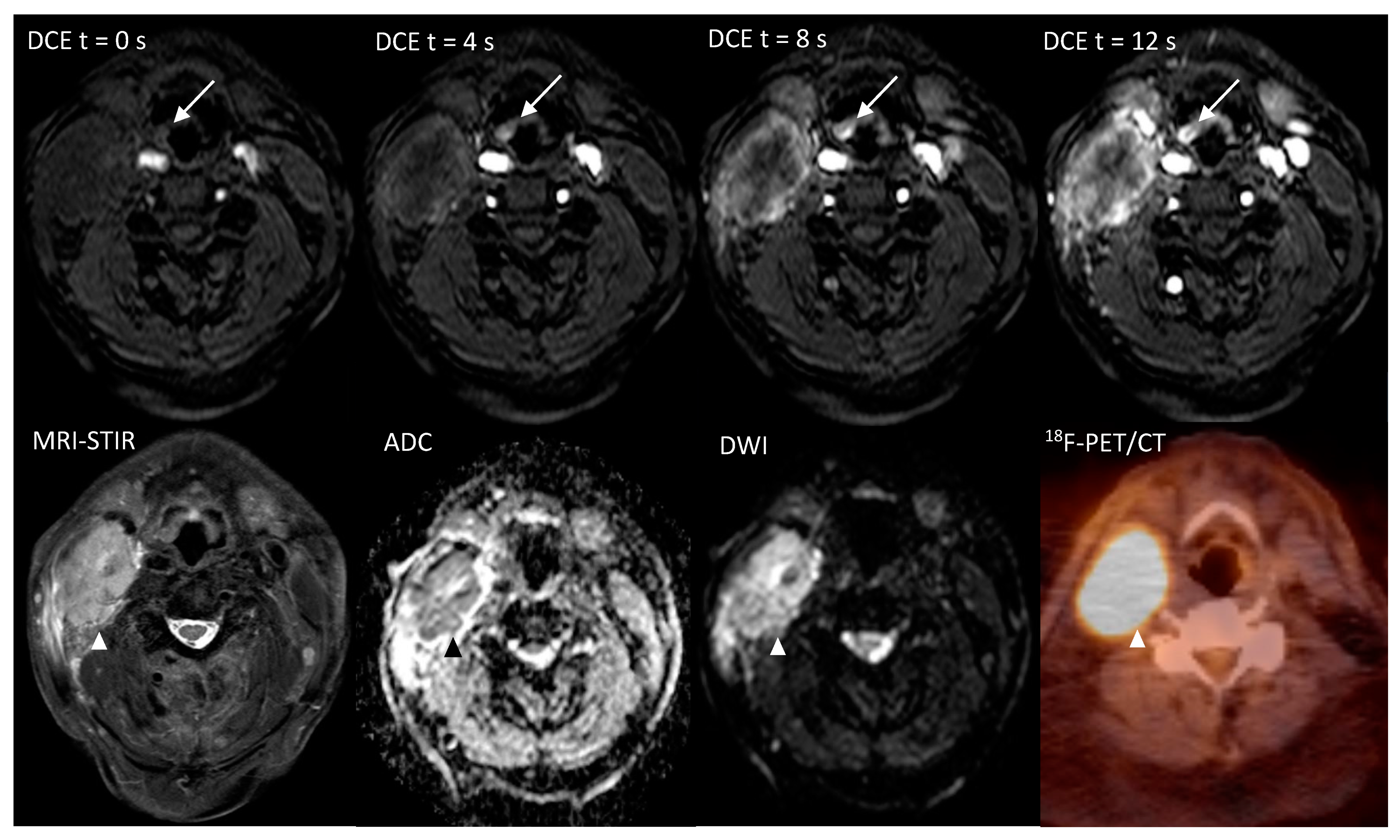 Cancers 12 02826 g001