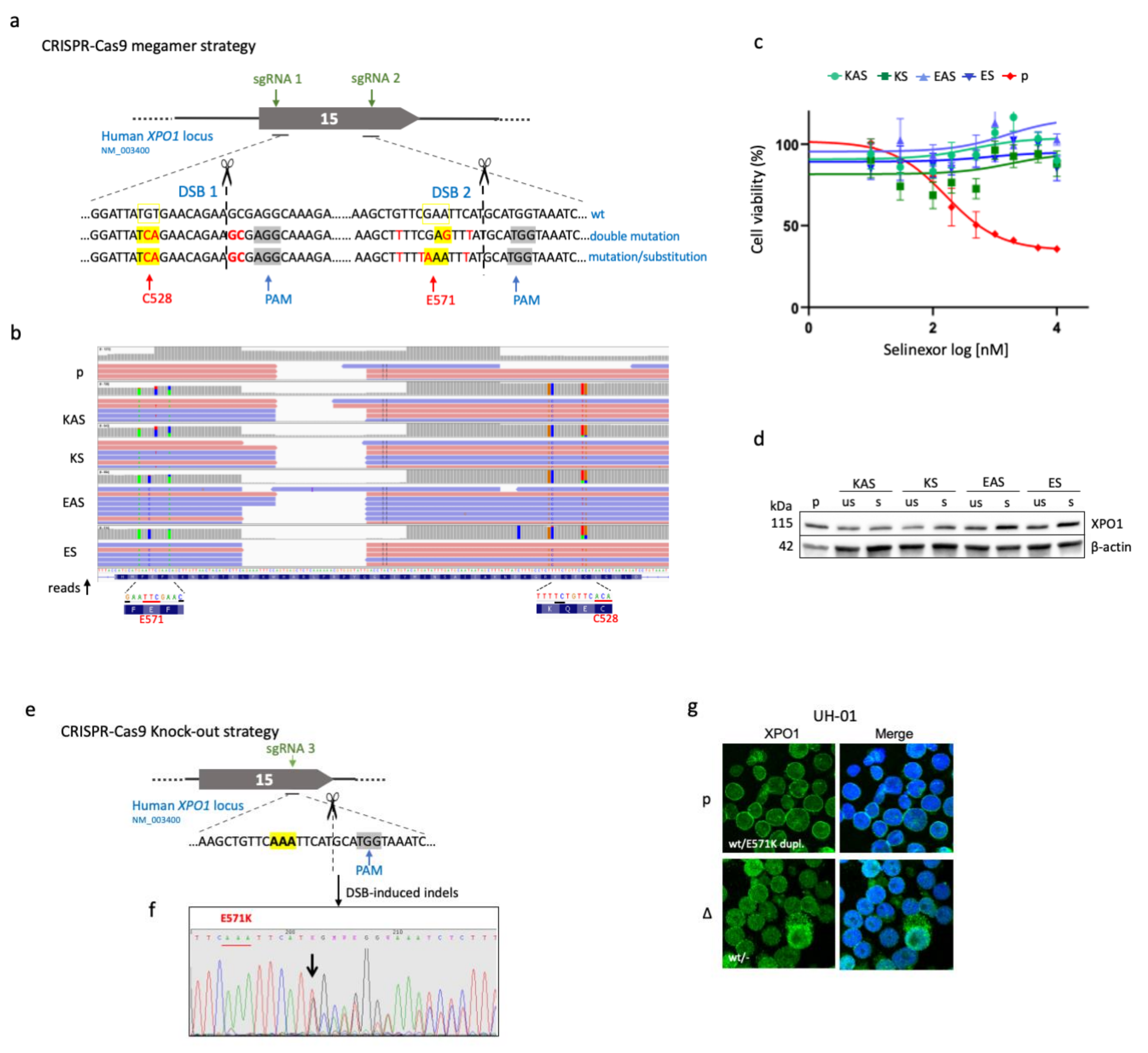 Cancers 12 02829 g001