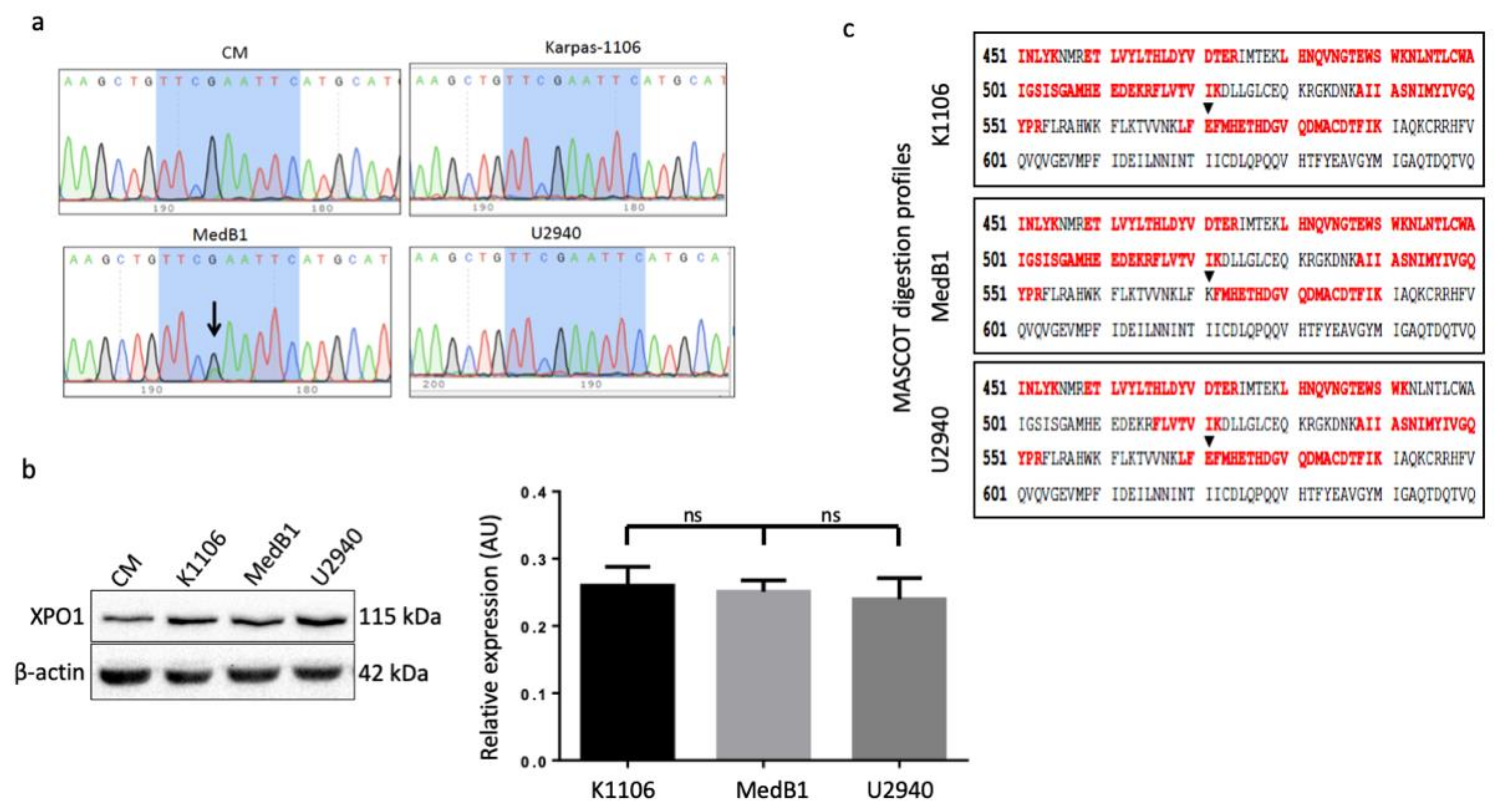 Cancers 12 02829 g002
